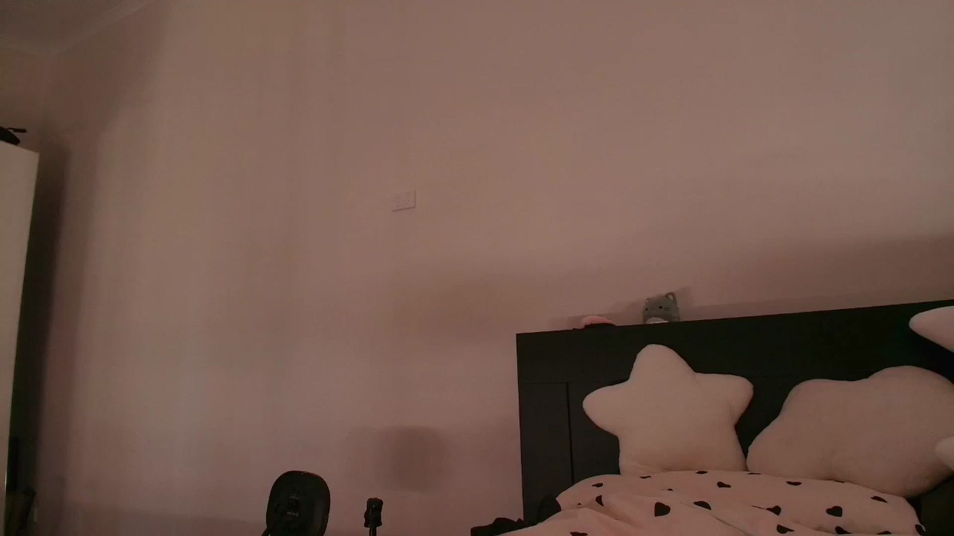Gallery image thumbnail from RoomToAvoid's myfreecams stream on, 02/14/2026, 03:54 image 17 of 20