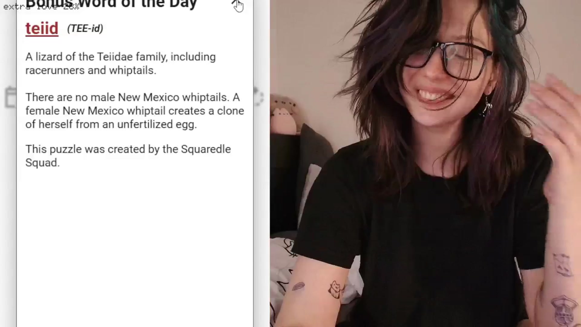 Gallery image thumbnail from RoomToAvoid's myfreecams stream on, 03/13/2026, 04:59 image 17 of 20