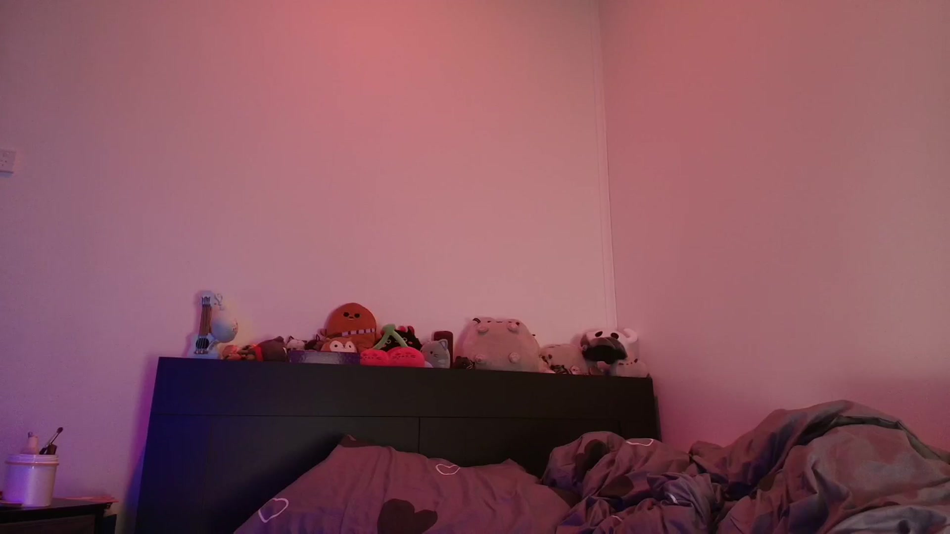 Gallery image thumbnail from RoomToAvoid's myfreecams stream on, 03/30/2026, 02:25 image 6 of 20