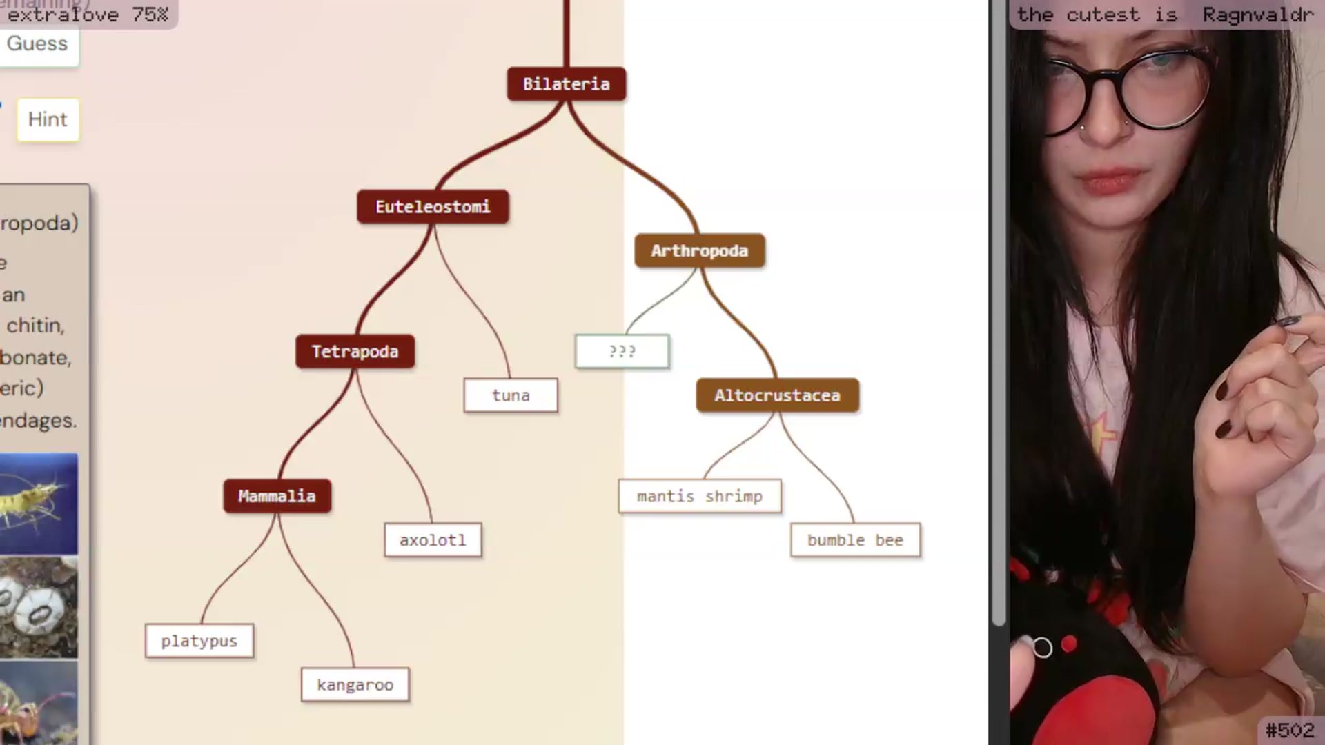 Gallery image thumbnail from RoomToAvoid's myfreecams stream on, 06/03/2026, 02:59 image 12 of 20