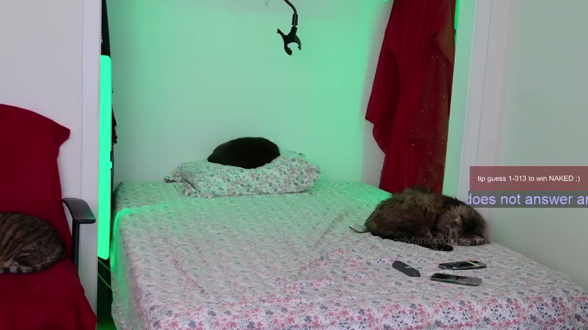 Gallery image thumbnail from Roriverse's myfreecams stream on, 11/16/2024, 23:44 image 15 of 20
