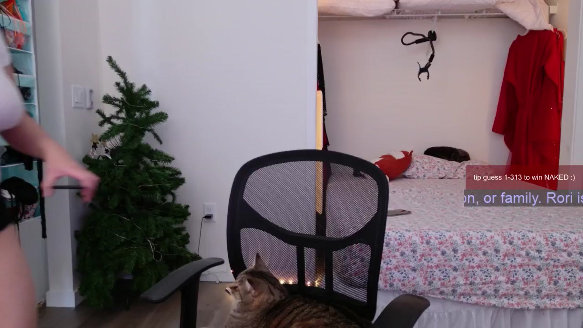 Gallery image thumbnail from Roriverse's myfreecams stream on, 11/24/2024, 19:56 image 7 of 20