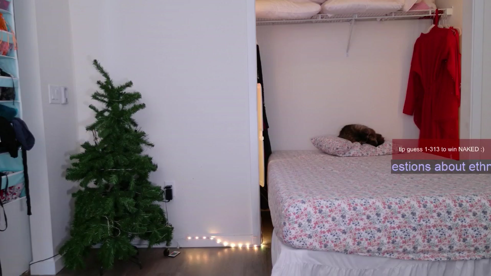 Gallery image thumbnail from Roriverse's myfreecams stream on, 11/27/2024, 21:42 image 20 of 20