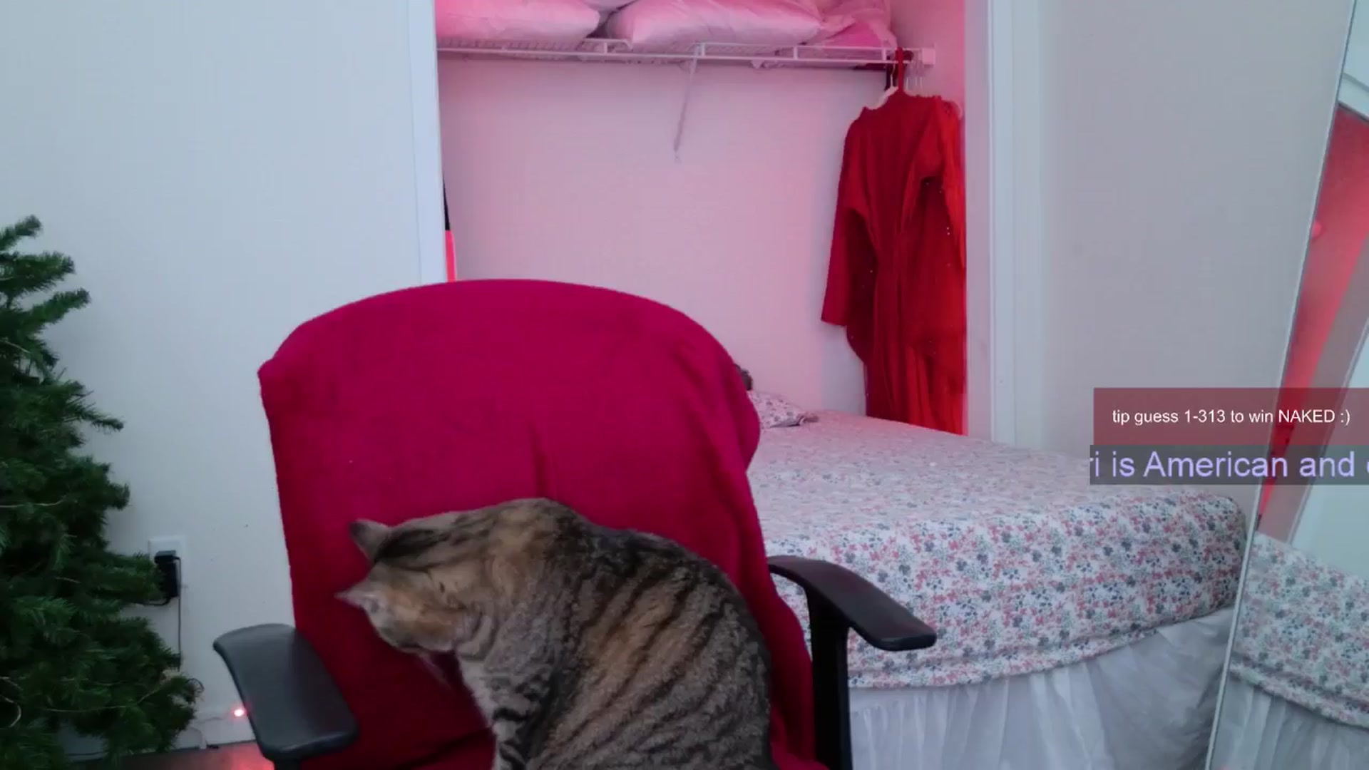Gallery image thumbnail from Roriverse's myfreecams stream on, 11/29/2024, 19:32 image 18 of 20