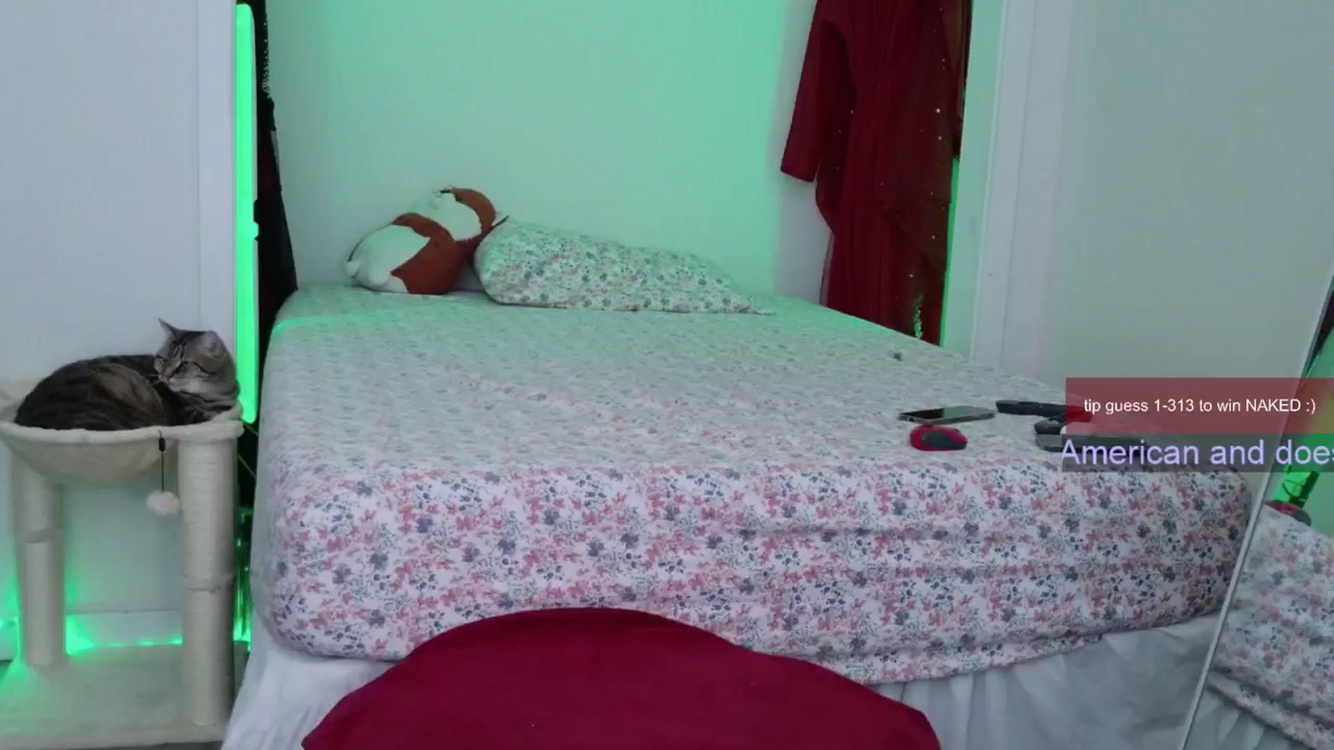 Gallery image thumbnail from Roriverse's myfreecams stream on, 12/01/2024, 22:06 image 1 of 20