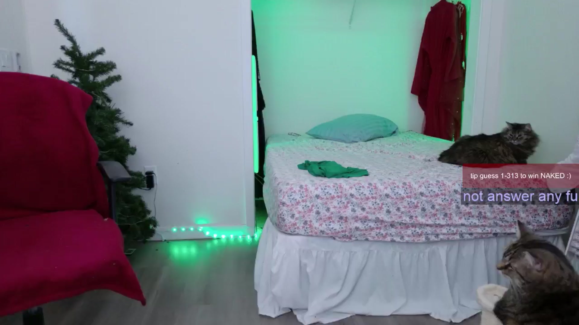 Gallery image thumbnail from Roriverse's myfreecams stream on, 12/13/2024, 21:06 image 6 of 20