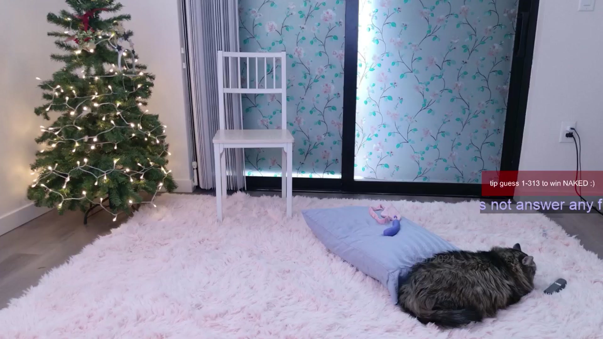 Gallery image thumbnail from Roriverse's myfreecams stream on, 12/18/2024, 21:45 image 15 of 20