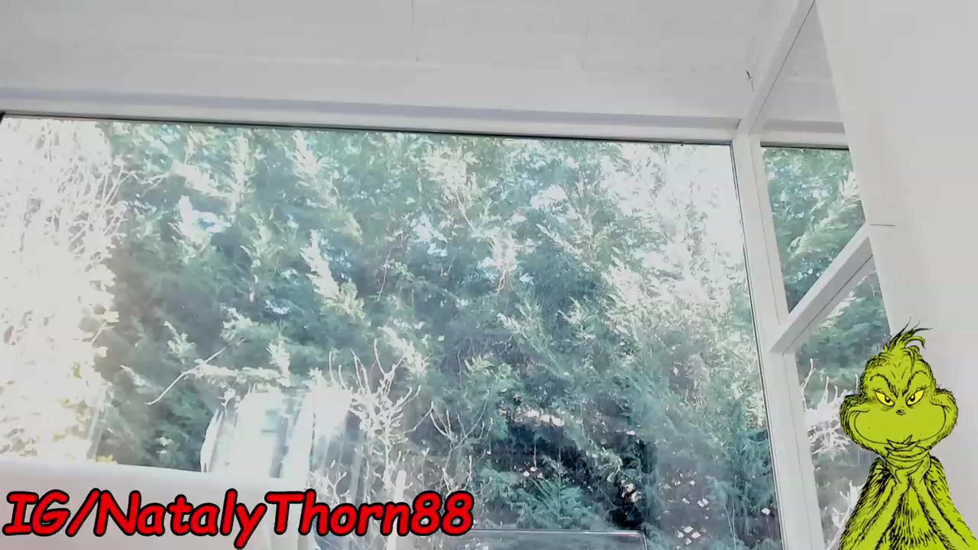 Gallery image thumbnail from RoseTatt88's myfreecams stream on, 12/12/2022, 10:57 image 16 of 20