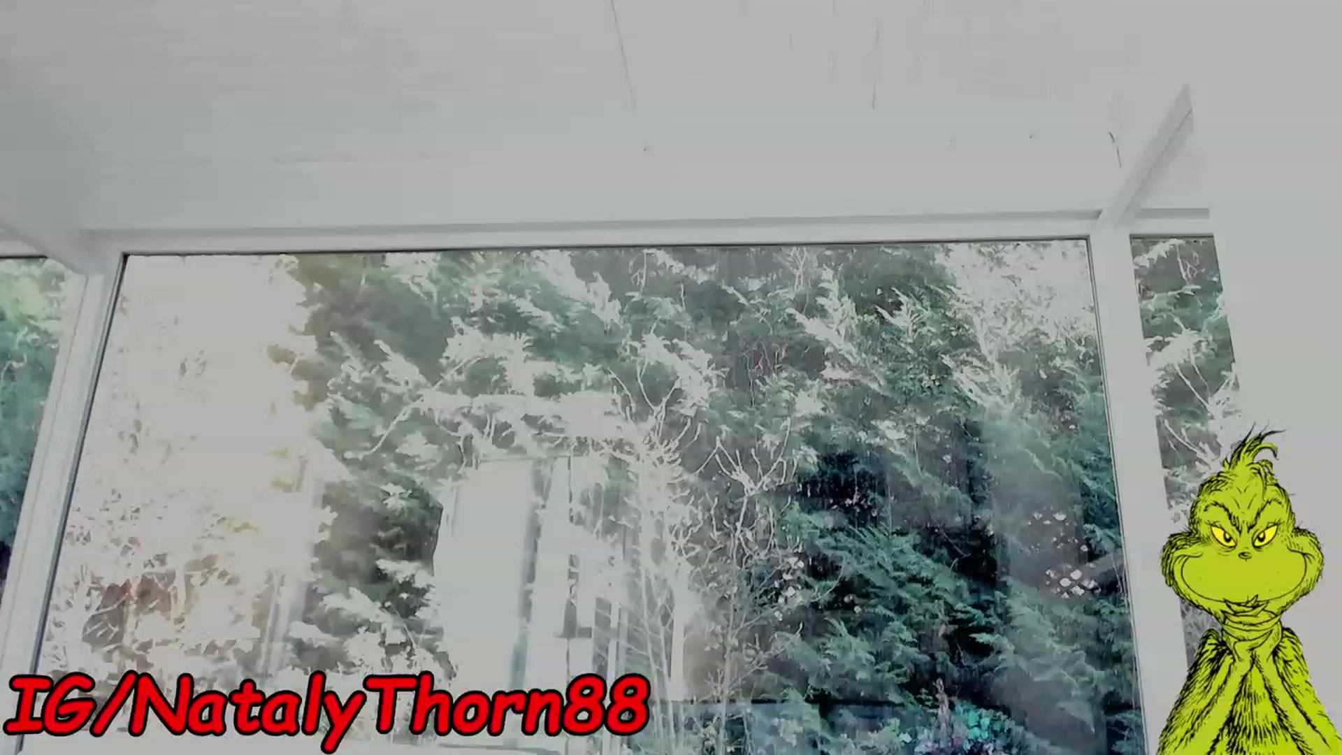 Gallery image thumbnail from RoseTatt88's myfreecams stream on, 12/12/2022, 11:46 image 4 of 20