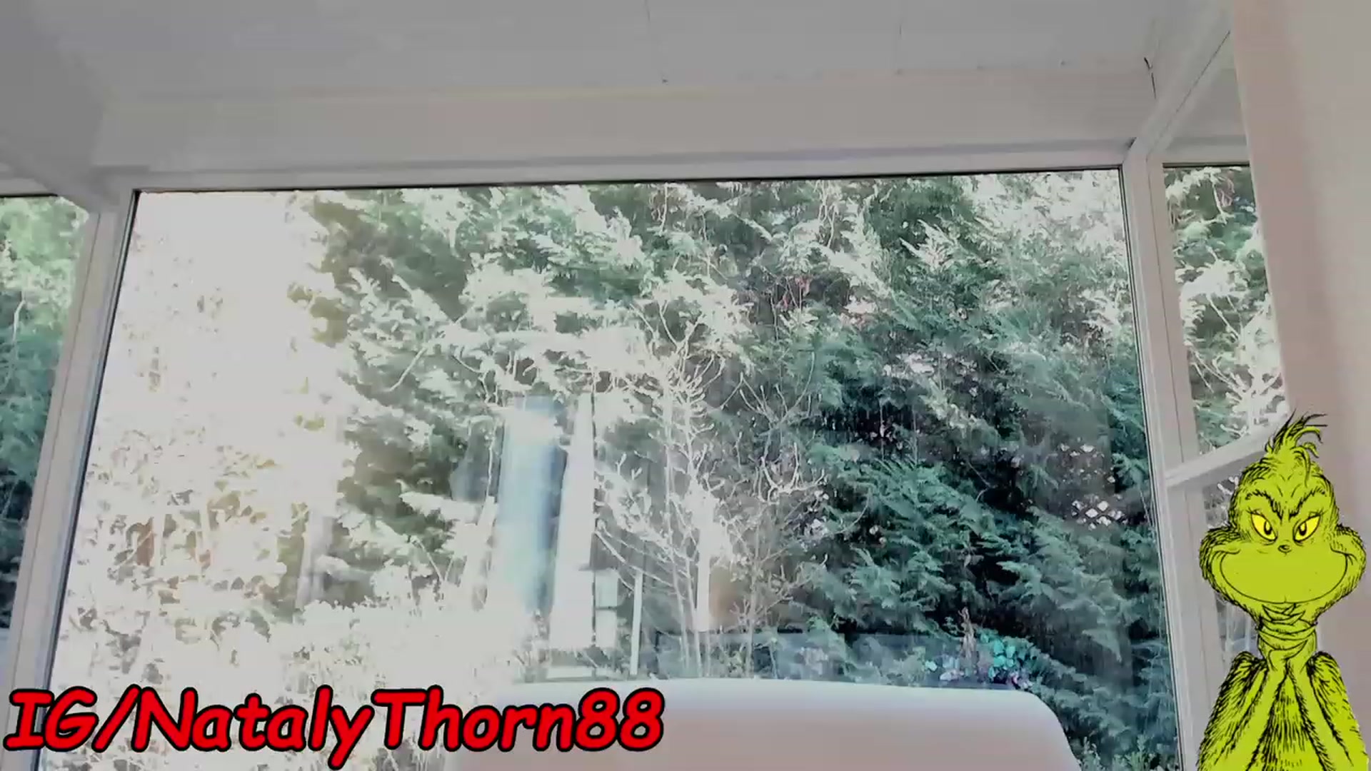 Gallery image thumbnail from RoseTatt88's myfreecams stream on, 12/12/2022, 11:46 image 15 of 20