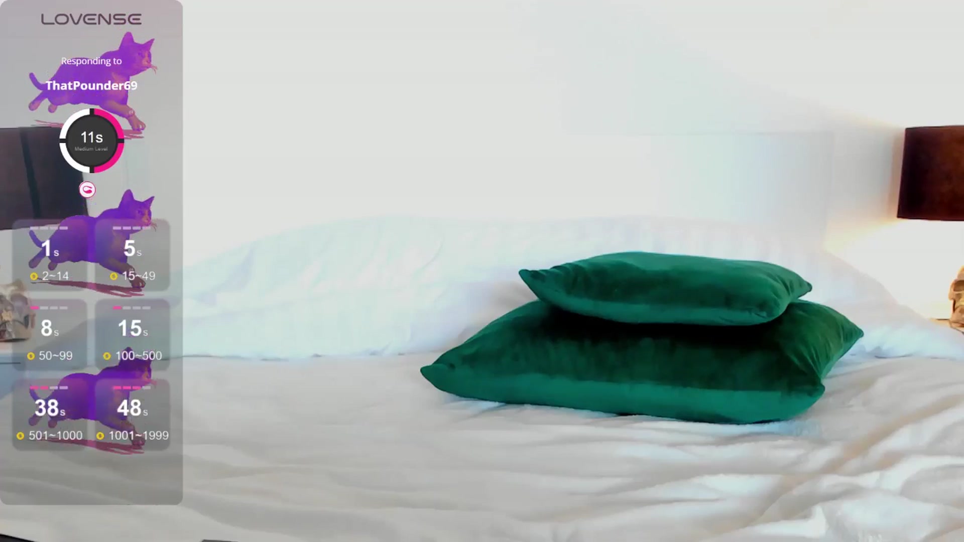 Gallery image thumbnail from RoseTatt88's myfreecams stream on, 06/10/2024, 11:18 image 16 of 20