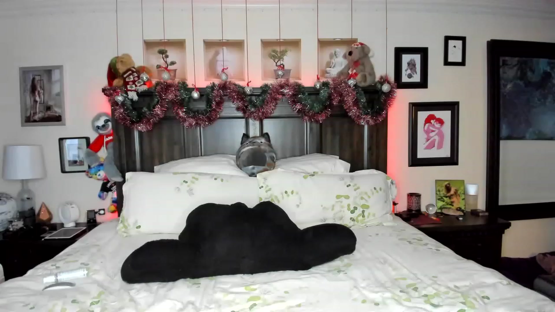 Gallery image thumbnail from Rose_Kitten's myfreecams stream on, 12/02/2022, 01:34 image 20 of 20