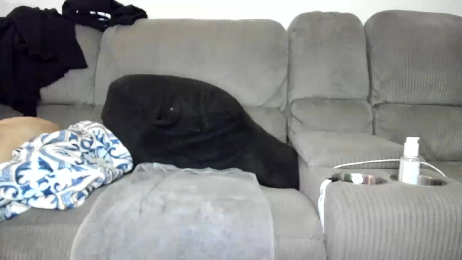 Gallery image thumbnail from Rose_Kitten's myfreecams stream on, 12/06/2022, 04:03 image 10 of 20