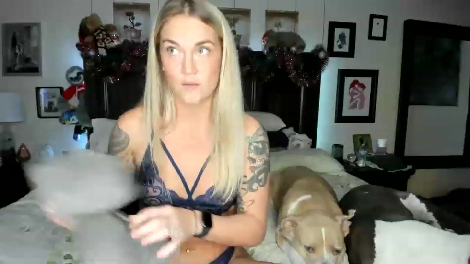 Gallery image thumbnail from Rose_Kitten's myfreecams stream on, 12/08/2022, 02:11 image 17 of 20
