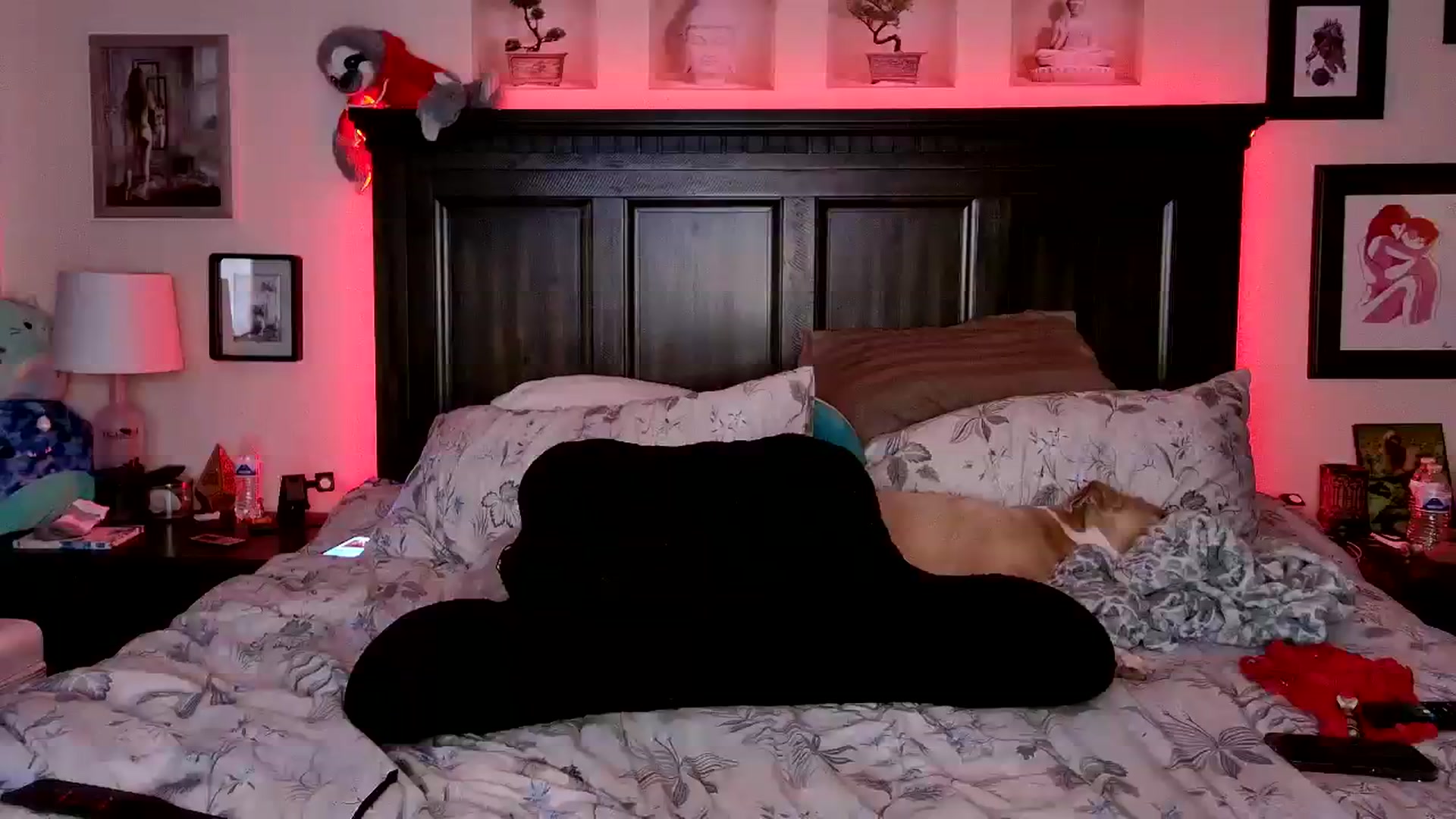 Gallery image thumbnail from Rose_Kitten's myfreecams stream on, 08/09/2023, 03:38 image 1 of 20