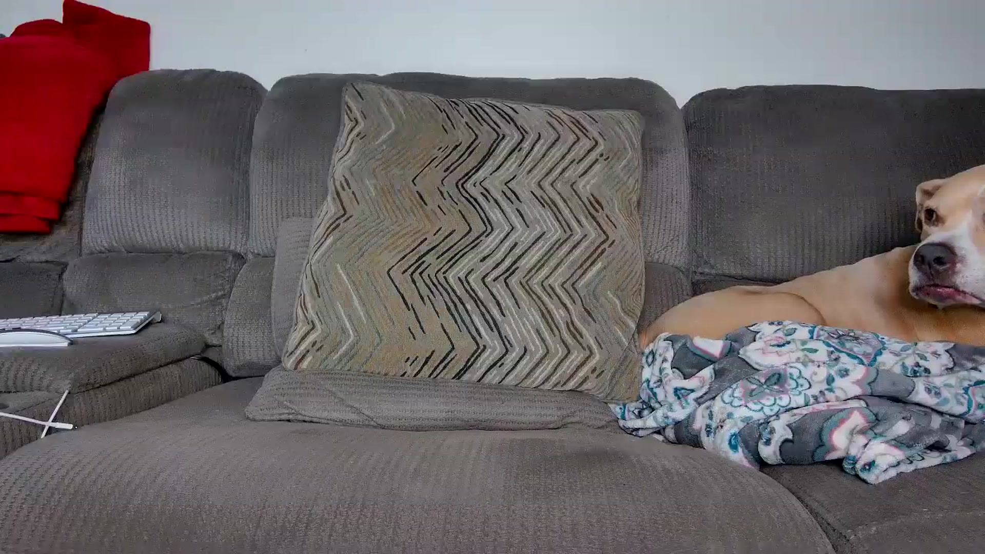 Gallery image thumbnail from Rose_Kitten's myfreecams stream on, 09/21/2023, 01:51 image 14 of 20