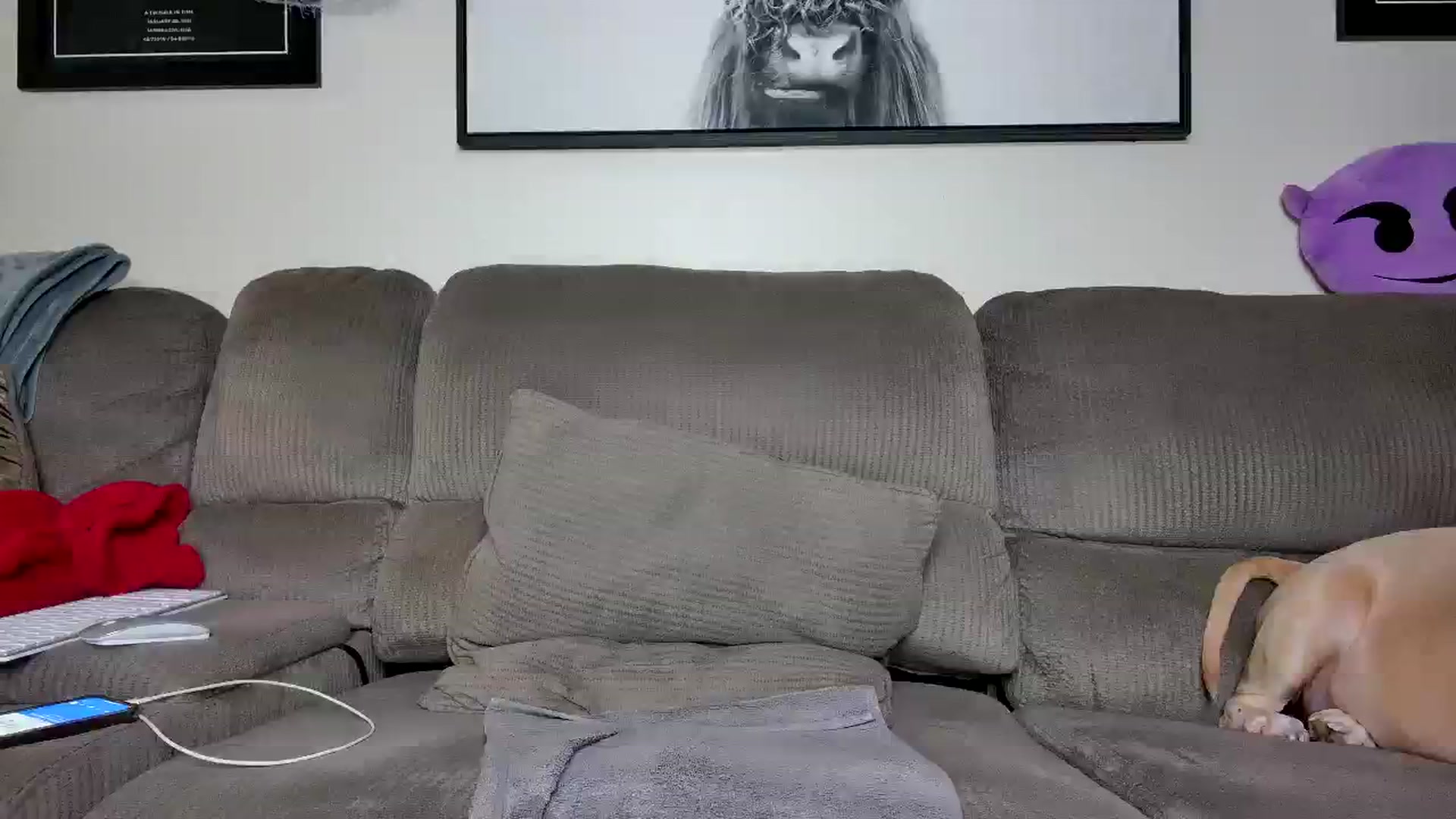 Gallery image thumbnail from Rose_Kitten's myfreecams stream on, 10/25/2023, 02:24 image 11 of 20
