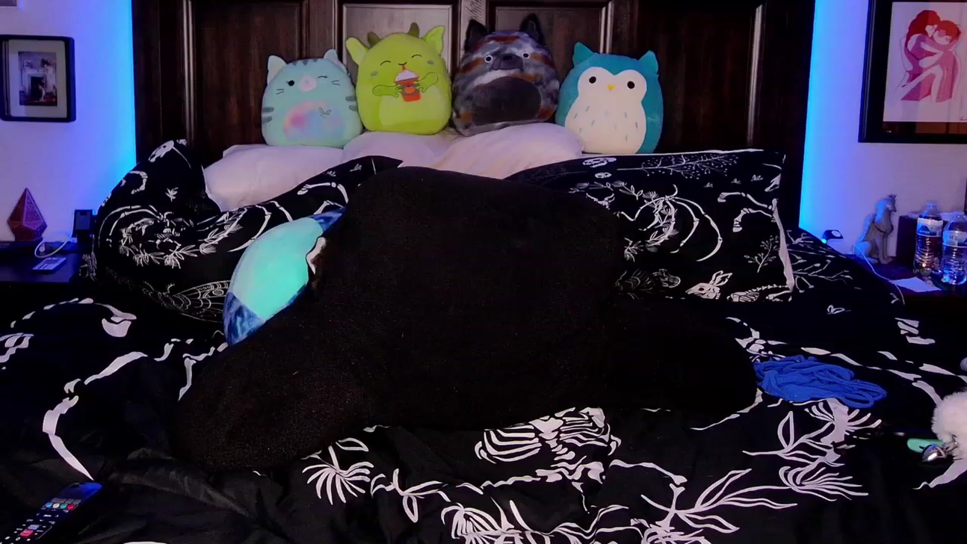 Gallery image thumbnail from Rose_Kitten's myfreecams stream on, 11/01/2023, 02:11 image 7 of 20