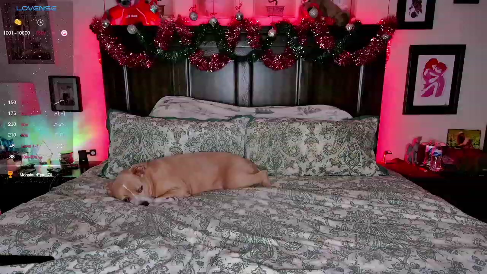 Gallery image thumbnail from Rose_Kitten's myfreecams stream on, 12/06/2023, 02:45 image 1 of 20