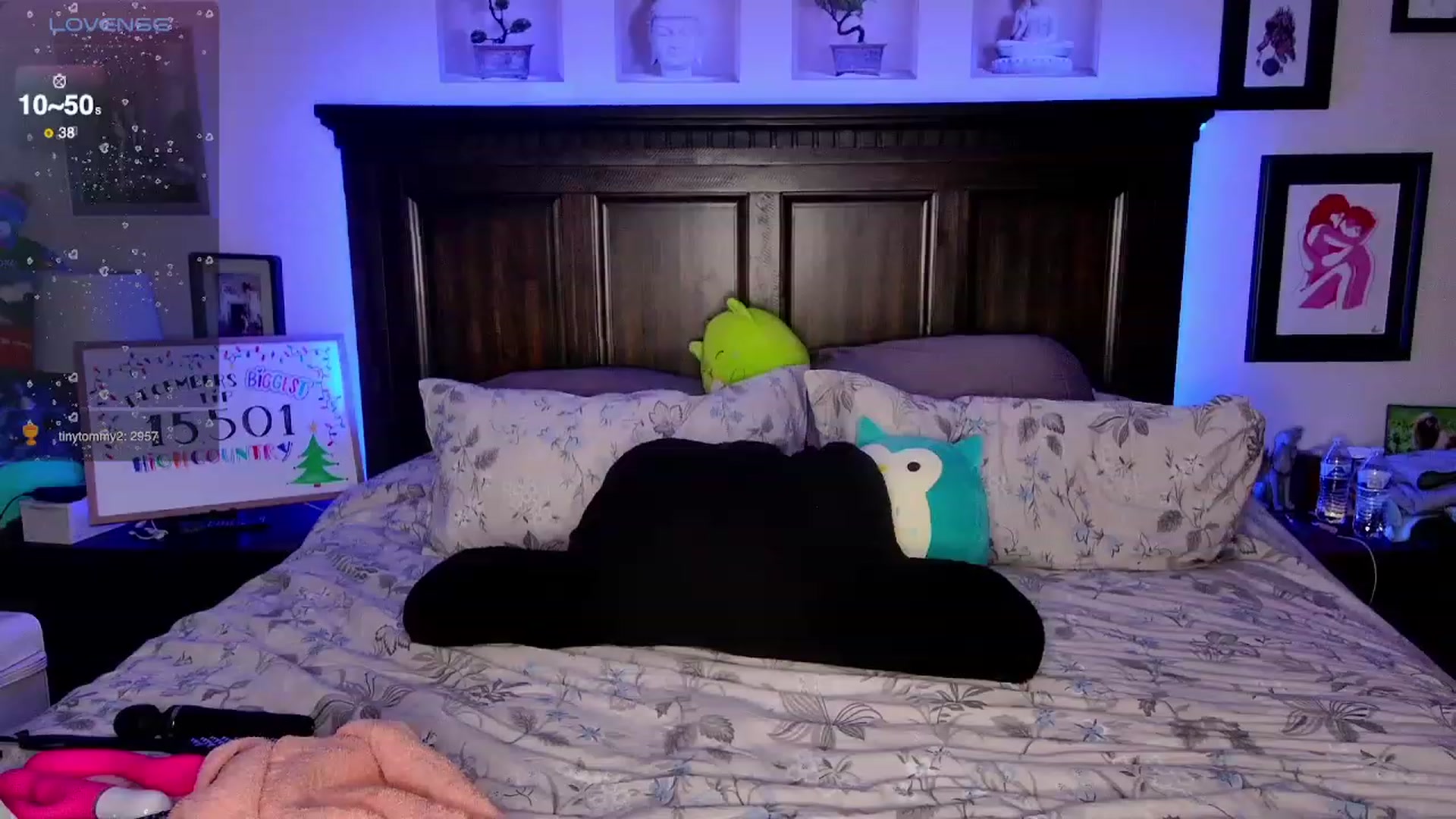 Gallery image thumbnail from Rose_Kitten's myfreecams stream on, 12/28/2023, 03:11 image 2 of 20