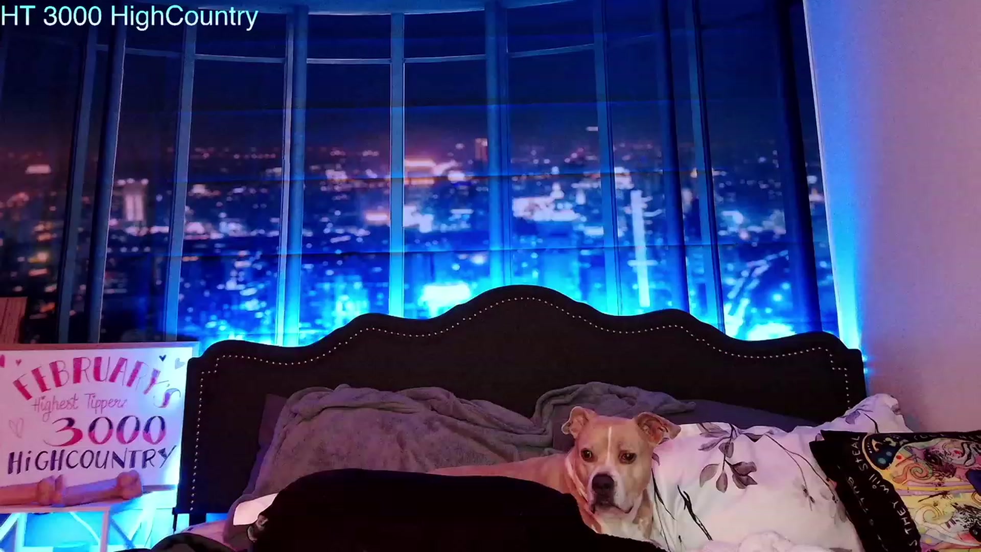 Gallery image thumbnail from Rose_Kitten's myfreecams stream on, 02/28/2024, 04:23 image 12 of 20