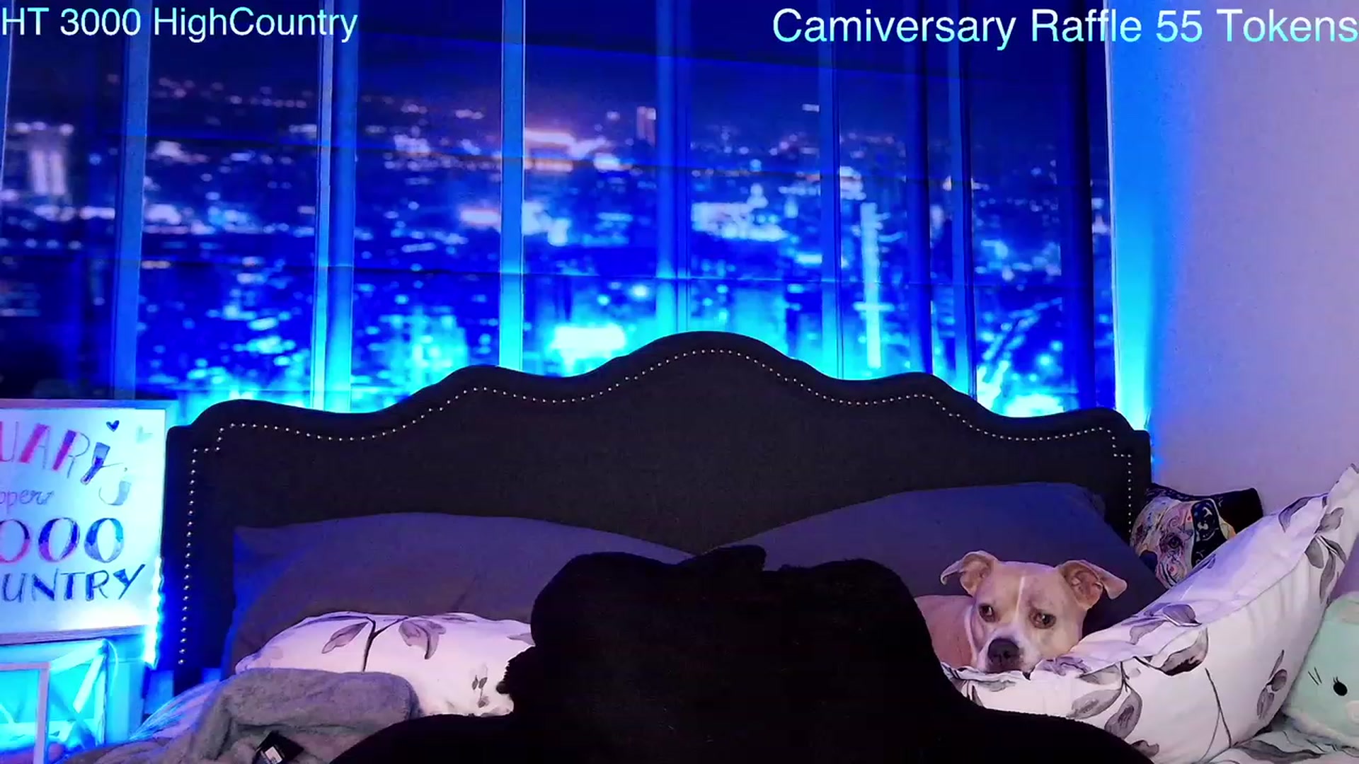 Gallery image thumbnail from Rose_Kitten's myfreecams stream on, 03/01/2024, 03:23 image 12 of 20