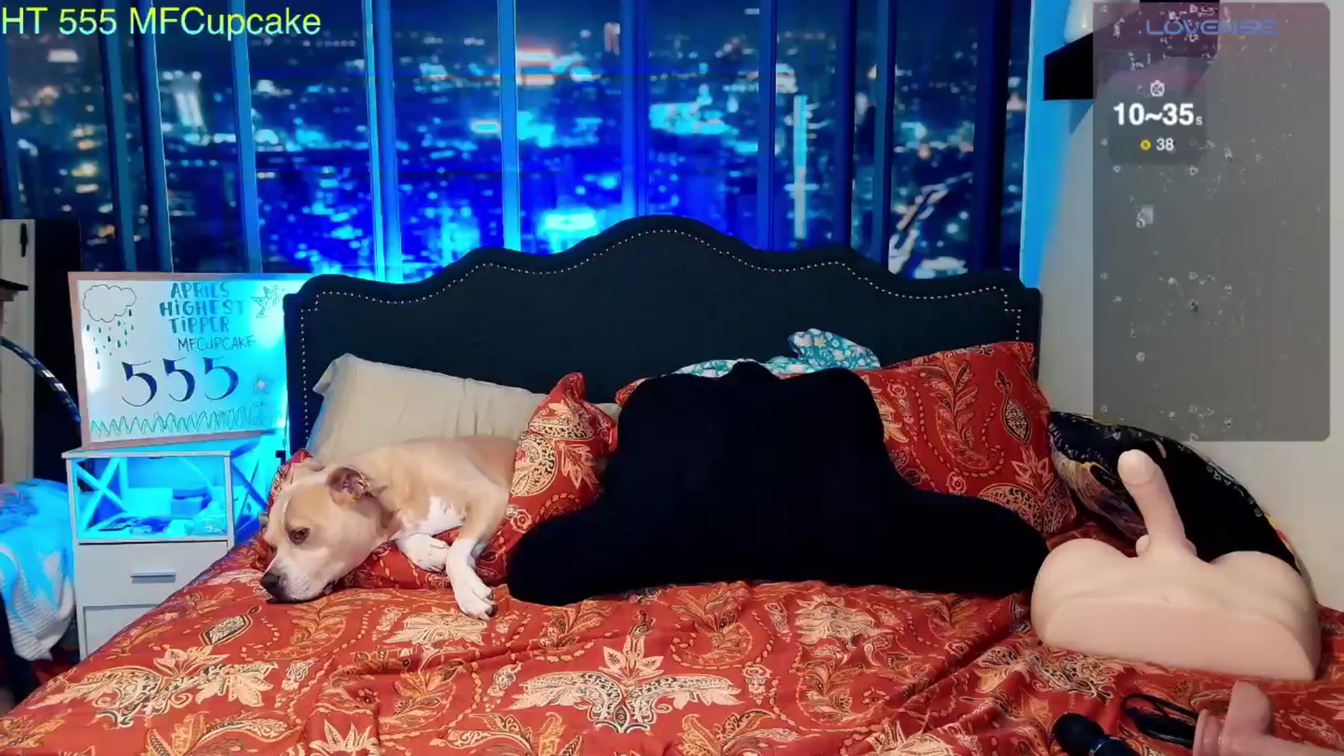 Gallery image thumbnail from Rose_Kitten's myfreecams stream on, 04/03/2024, 01:15 image 19 of 20
