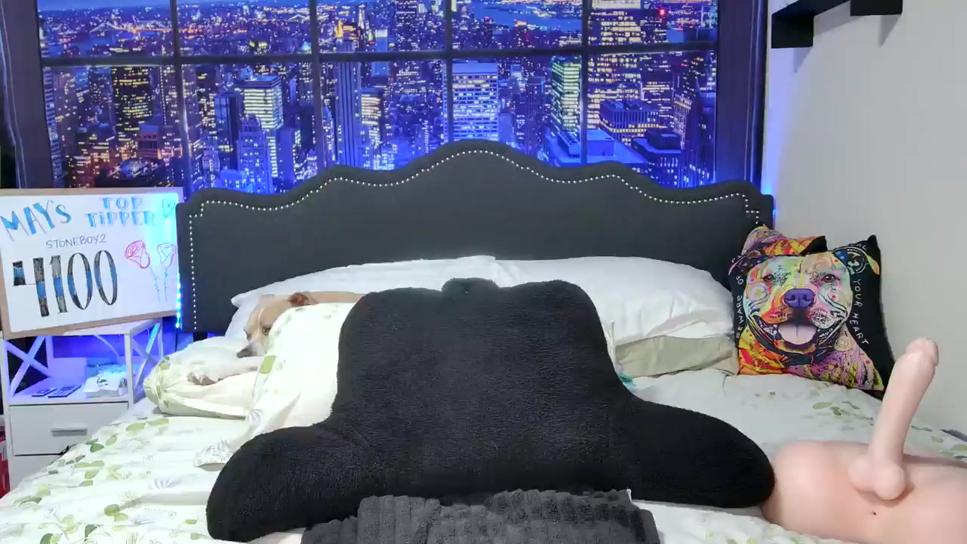 Gallery image thumbnail from Rose_Kitten's myfreecams stream on, 05/25/2024, 02:21 image 2 of 20