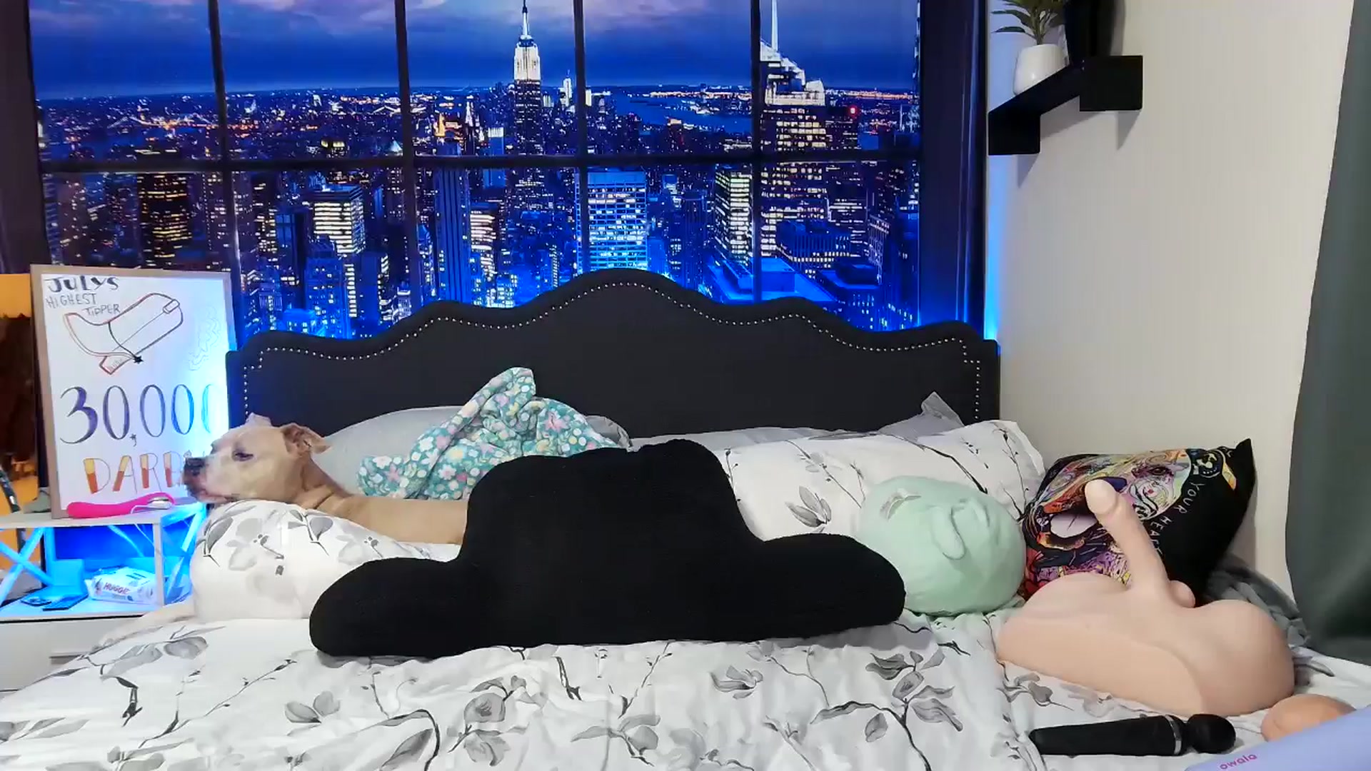 Gallery image thumbnail from Rose_Kitten's myfreecams stream on, 07/24/2024, 04:12 image 4 of 20