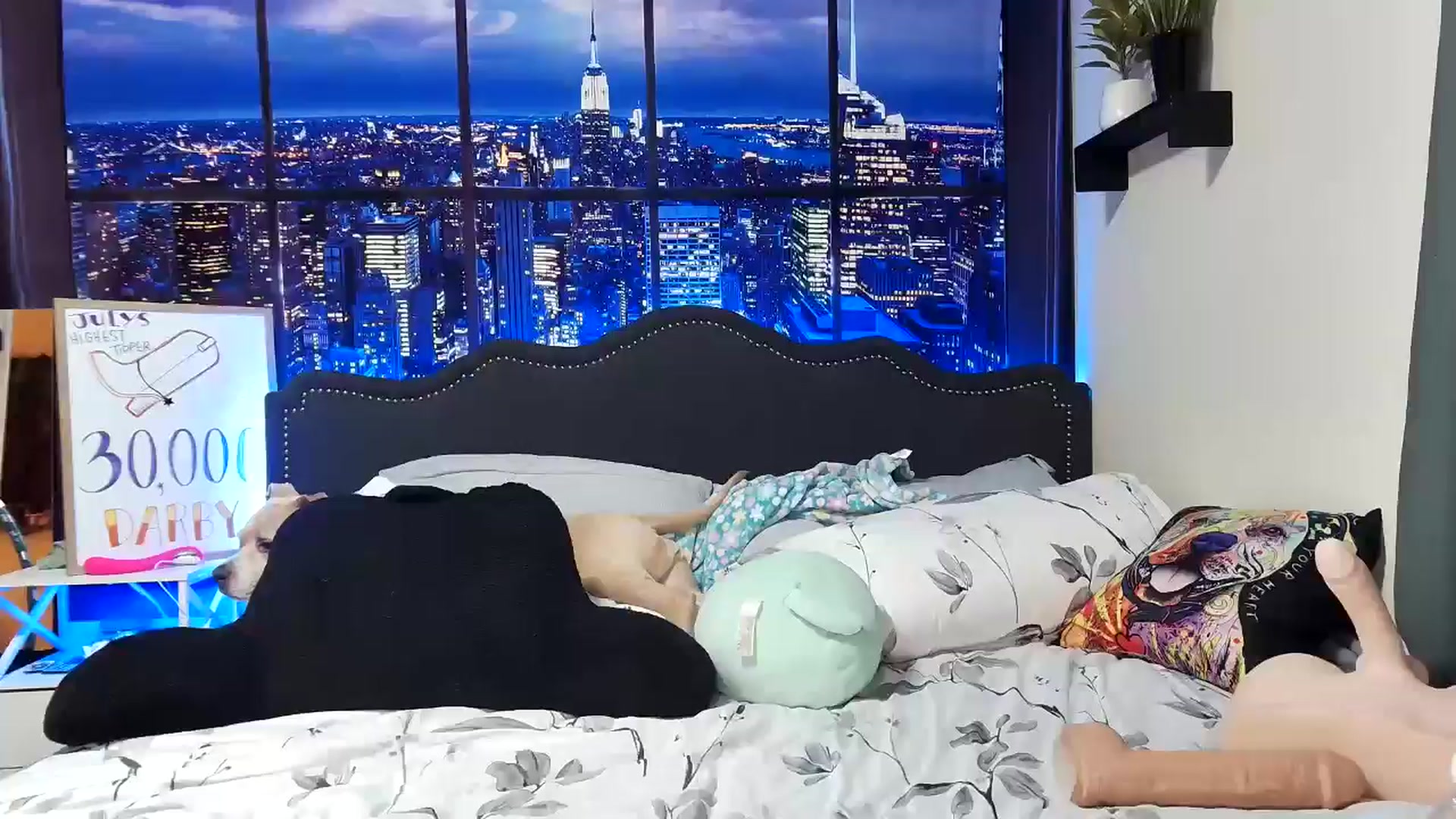 Gallery image thumbnail from Rose_Kitten's myfreecams stream on, 07/25/2024, 06:10 image 14 of 20