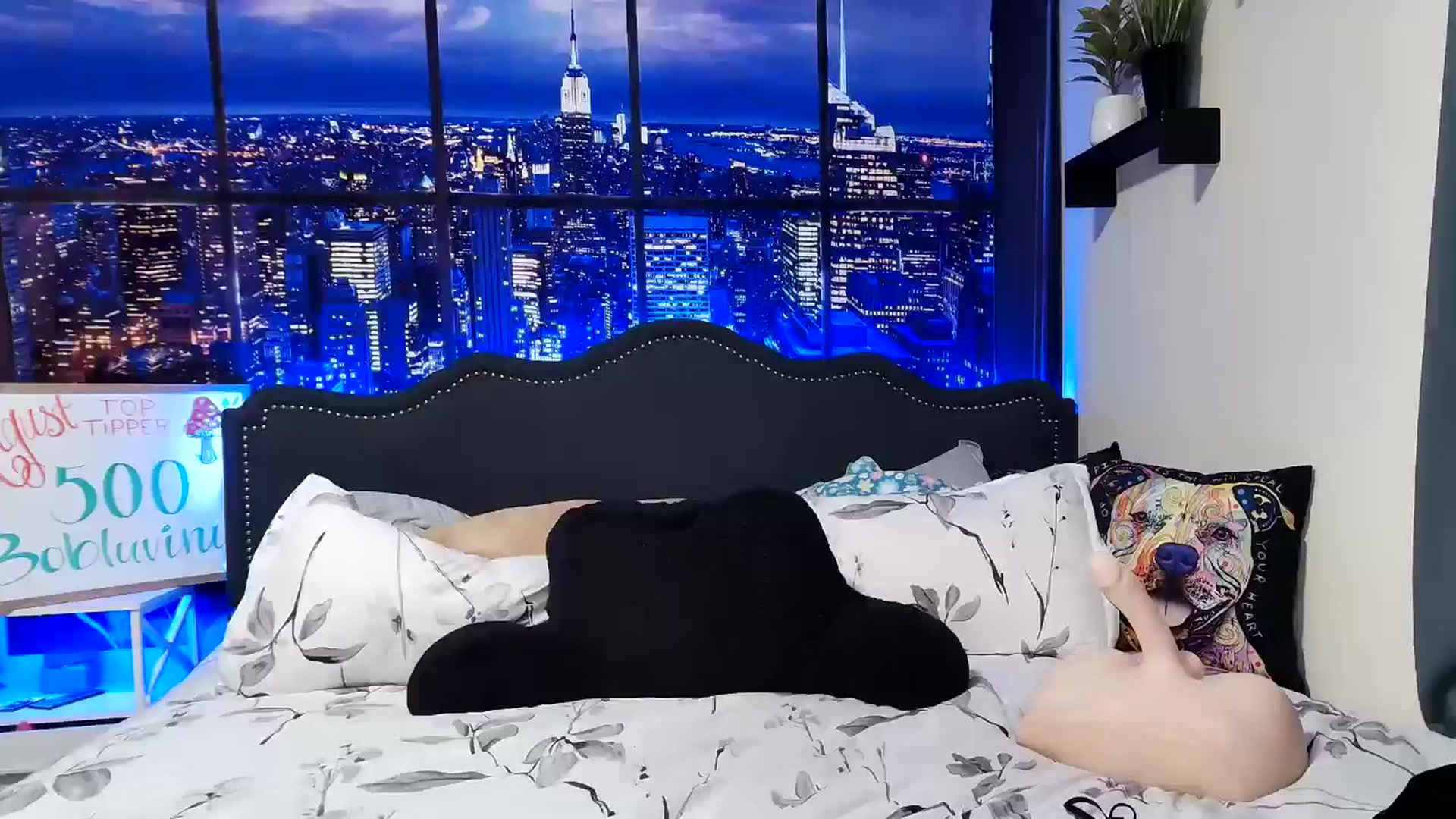 Gallery image thumbnail from Rose_Kitten's myfreecams stream on, 08/03/2024, 03:18 image 13 of 20