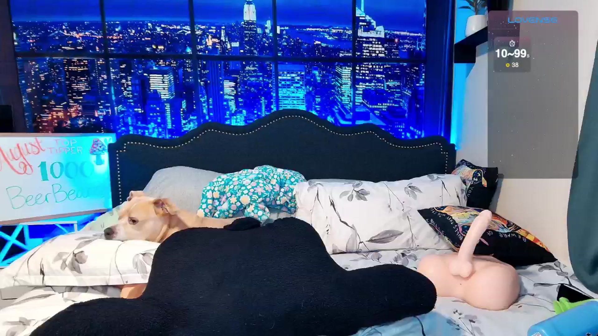 Gallery image thumbnail from Rose_Kitten's myfreecams stream on, 08/10/2024, 03:24 image 13 of 20