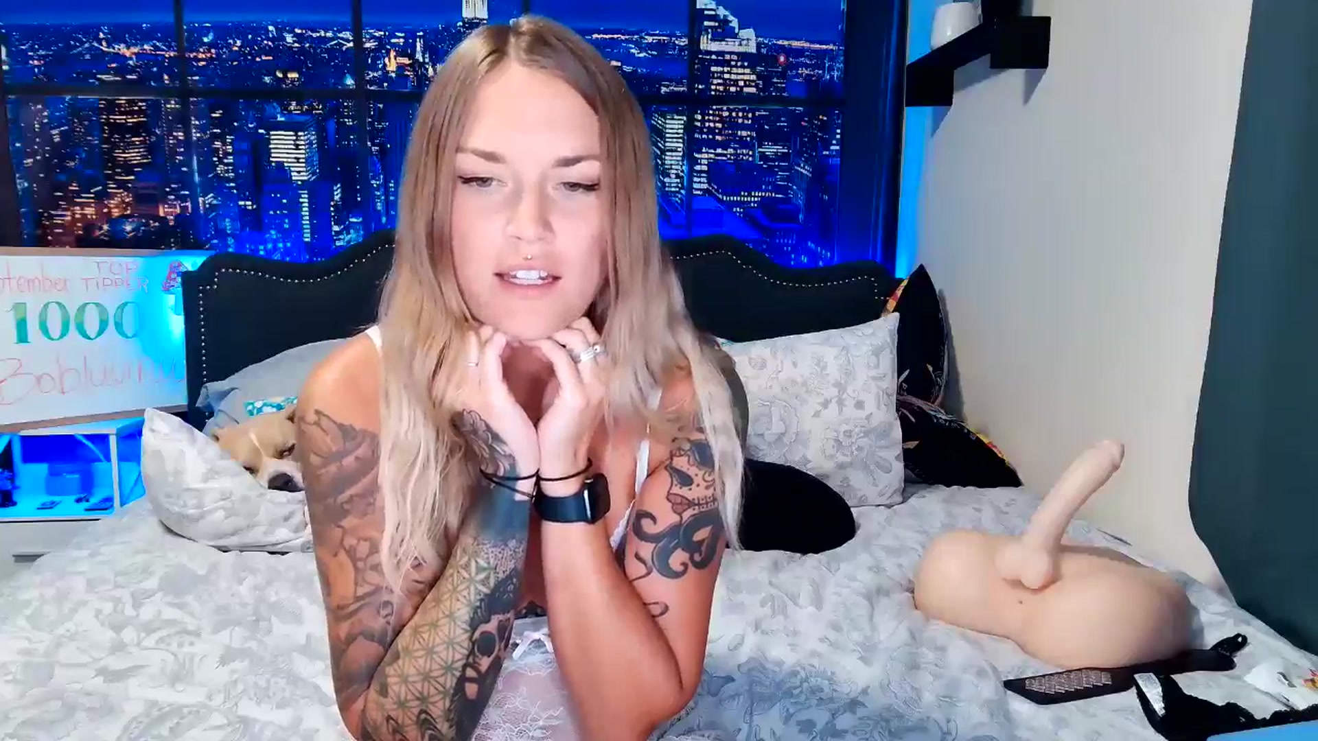 Gallery image thumbnail from Rose_Kitten's myfreecams stream on, 09/07/2024, 24:02 image 14 of 20