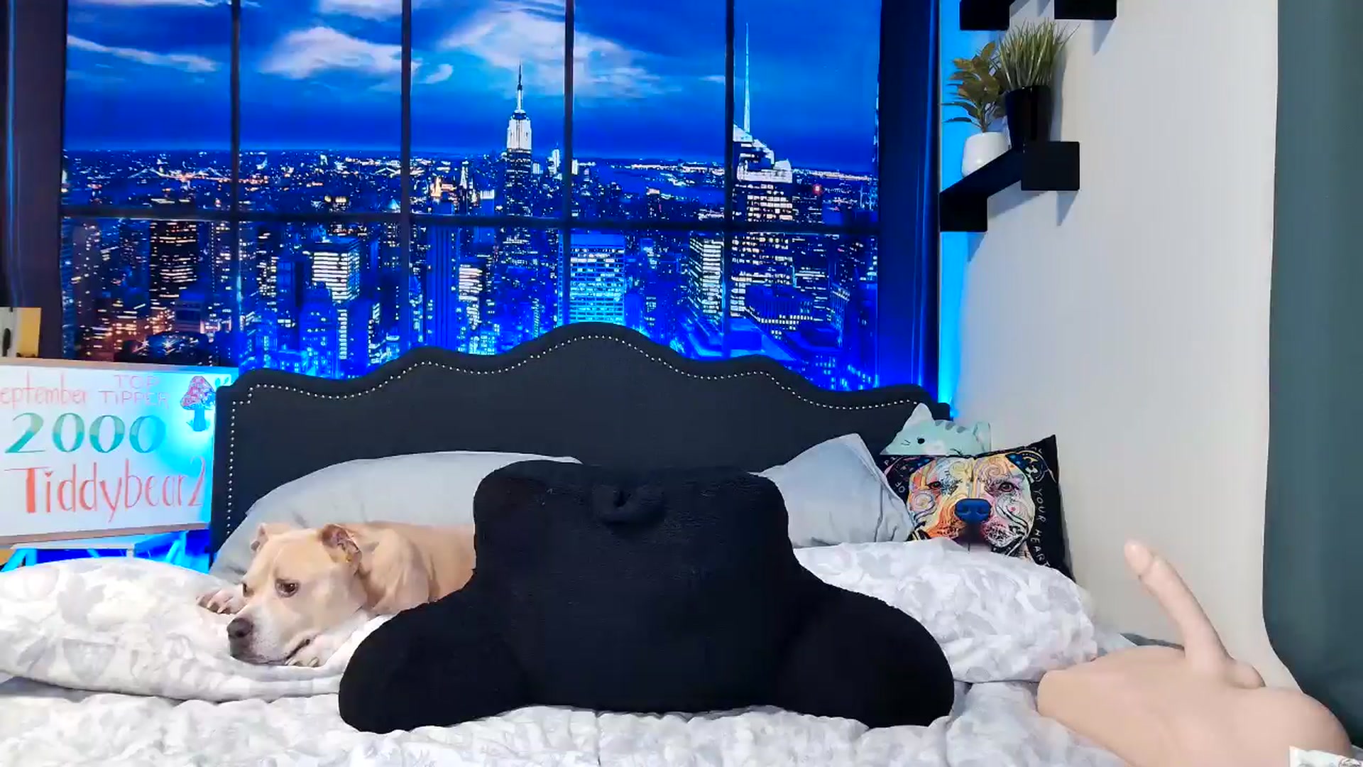 Gallery image thumbnail from Rose_Kitten's myfreecams stream on, 09/13/2024, 02:44 image 3 of 20