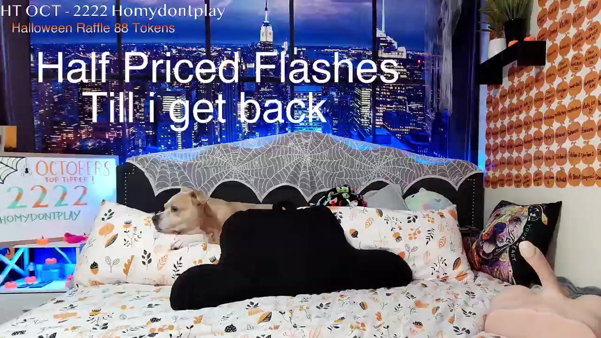 Gallery image thumbnail from Rose_Kitten's myfreecams stream on, 10/09/2024, 02:24 image 7 of 20