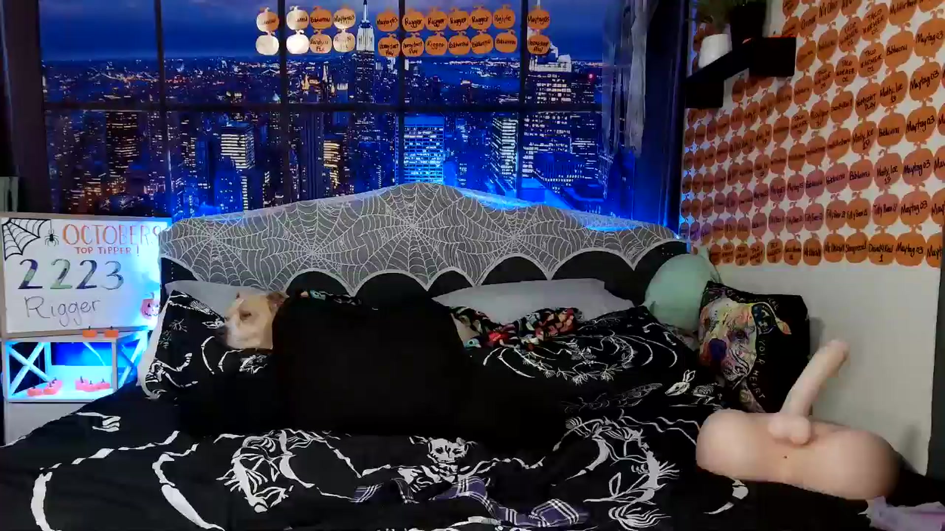Gallery image thumbnail from Rose_Kitten's myfreecams stream on, 10/26/2024, 02:33 image 16 of 20