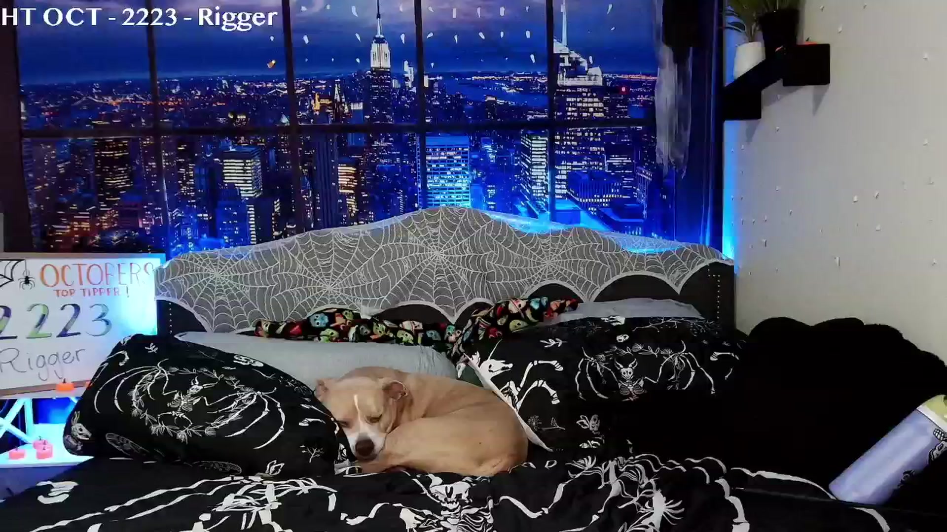 Gallery image thumbnail from Rose_Kitten's myfreecams stream on, 10/31/2024, 01:44 image 20 of 20