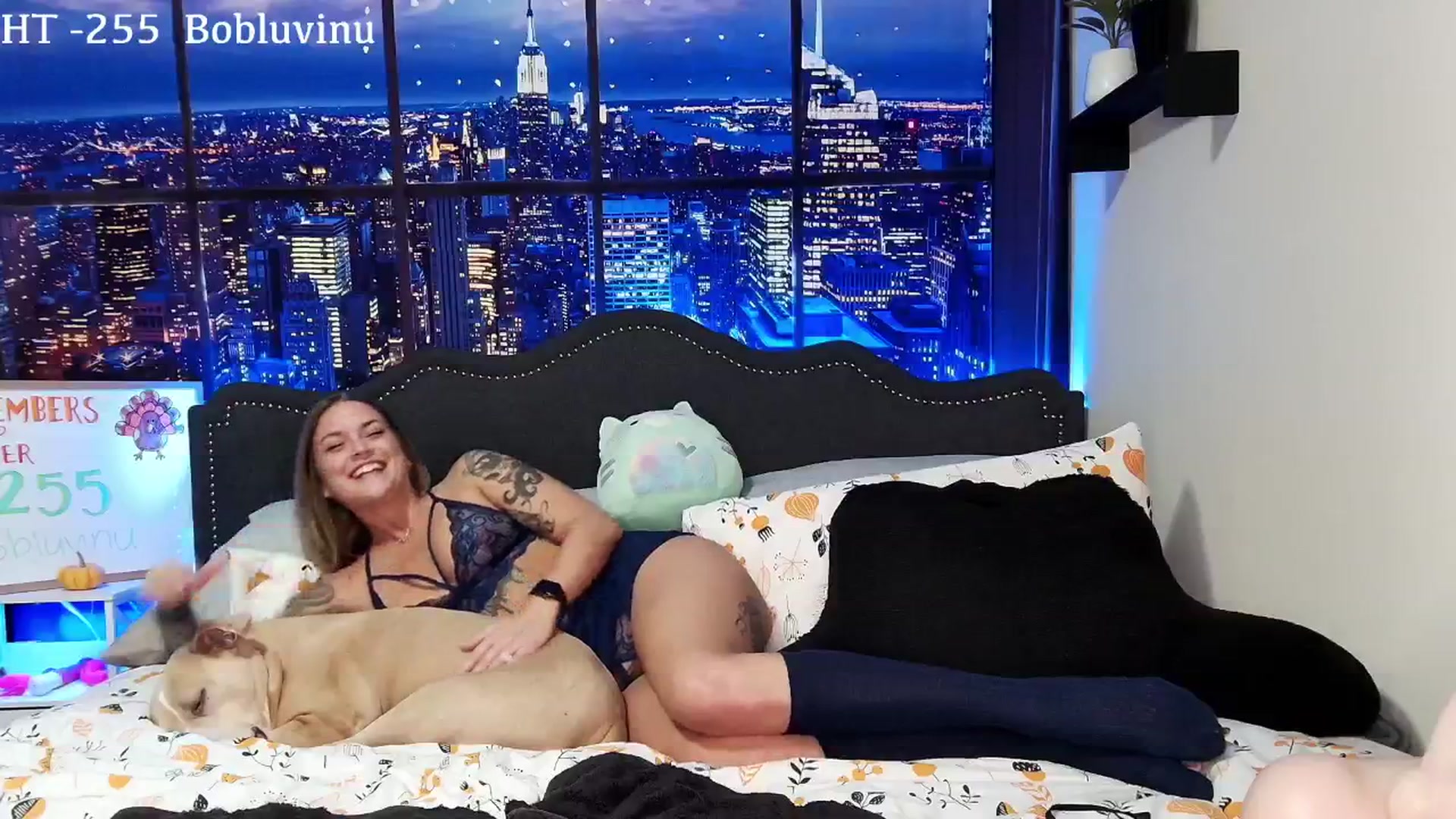 Gallery image thumbnail from Rose_Kitten's myfreecams stream on, 11/02/2024, 02:58 image 16 of 20