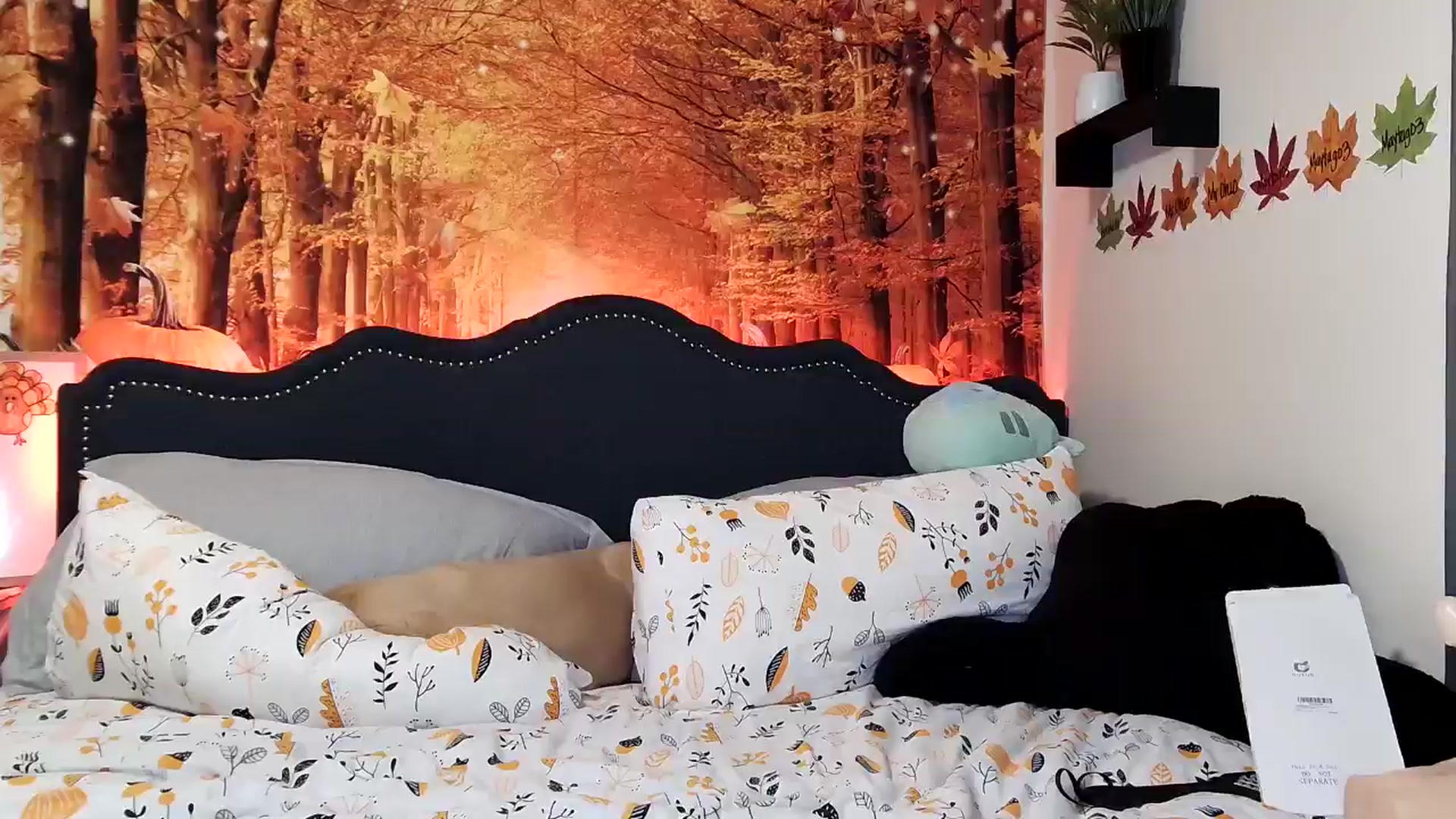 Gallery image thumbnail from Rose_Kitten's myfreecams stream on, 11/06/2024, 02:55 image 13 of 20