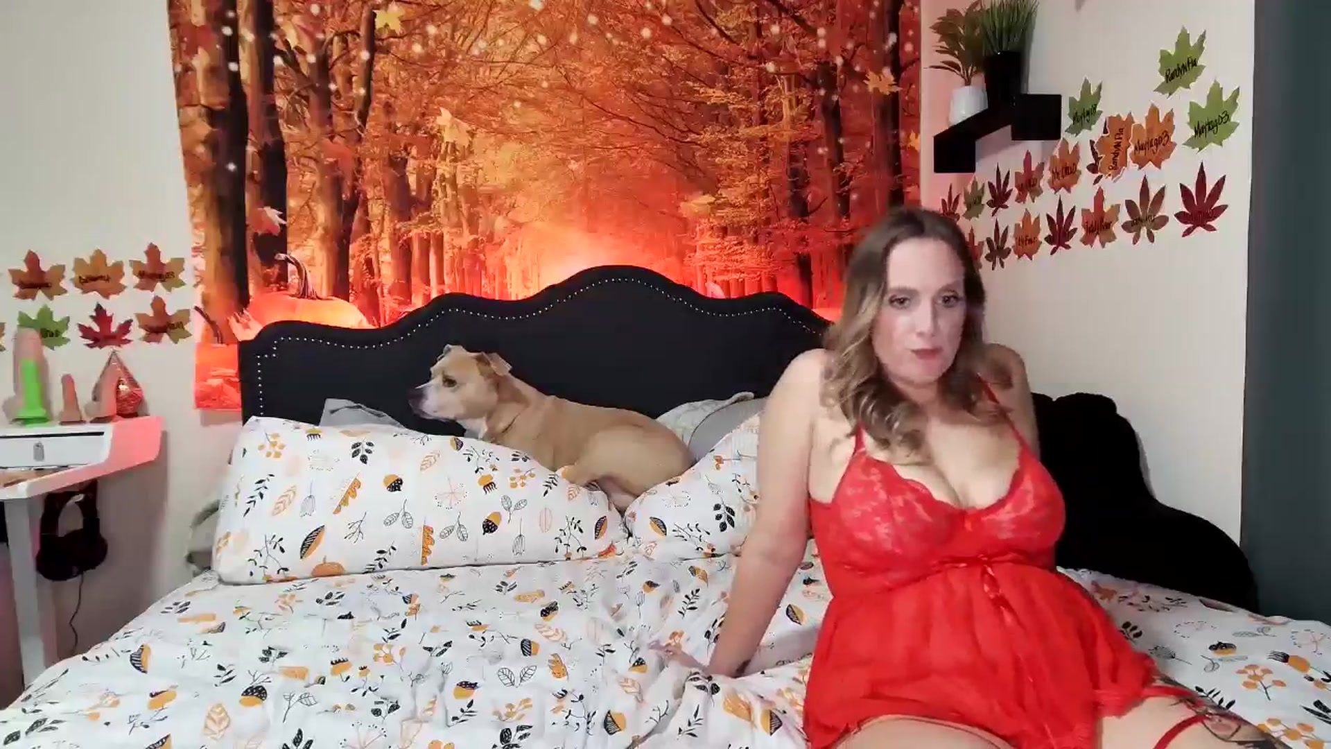 Gallery image thumbnail from Rose_Kitten's myfreecams stream on, 11/13/2024, 03:32 image 15 of 20