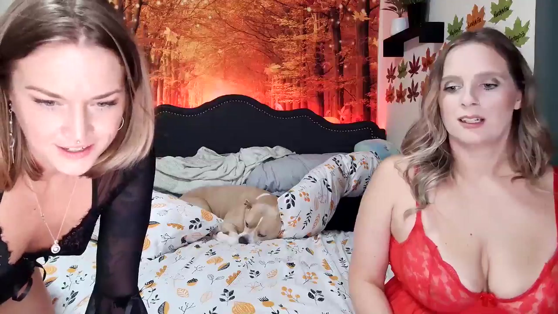 Gallery image thumbnail from Rose_Kitten's myfreecams stream on, 11/13/2024, 03:32 image 7 of 20