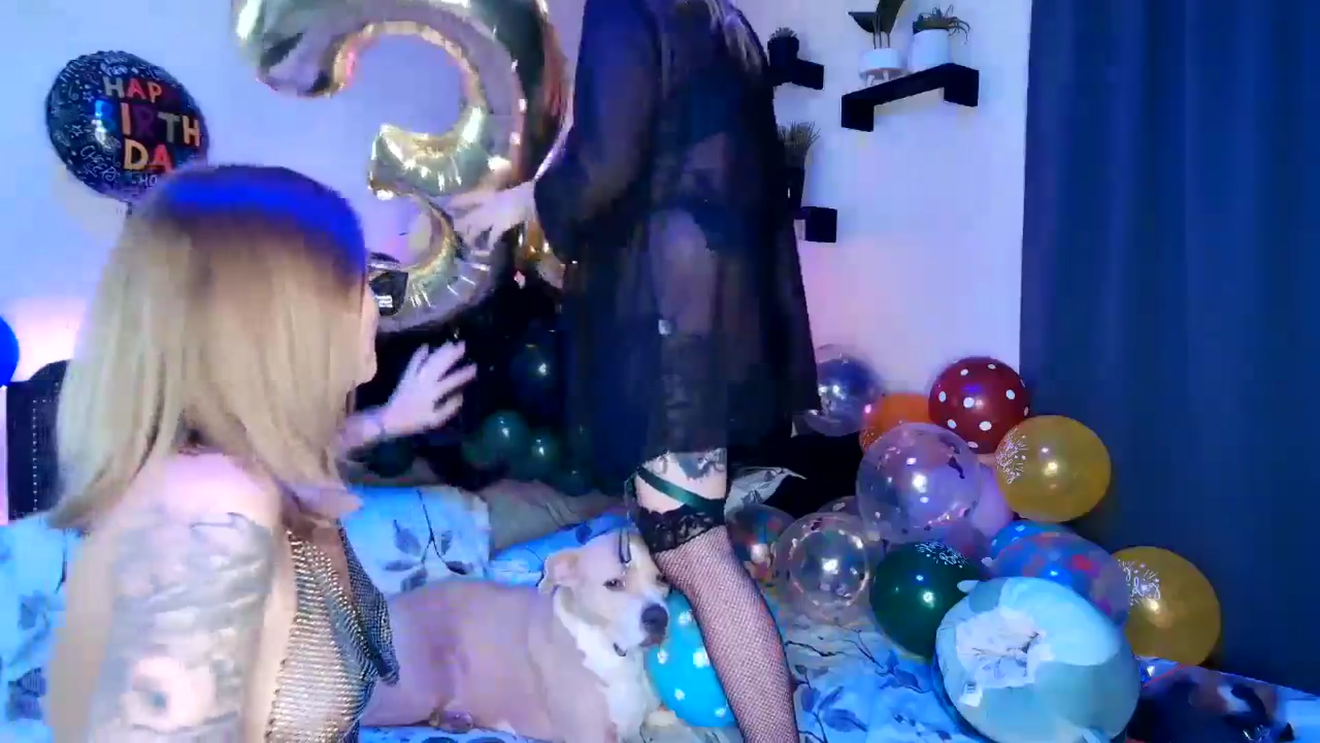 Gallery image thumbnail from Rose_Kitten's myfreecams stream on, 01/29/2025, 04:46 image 19 of 20