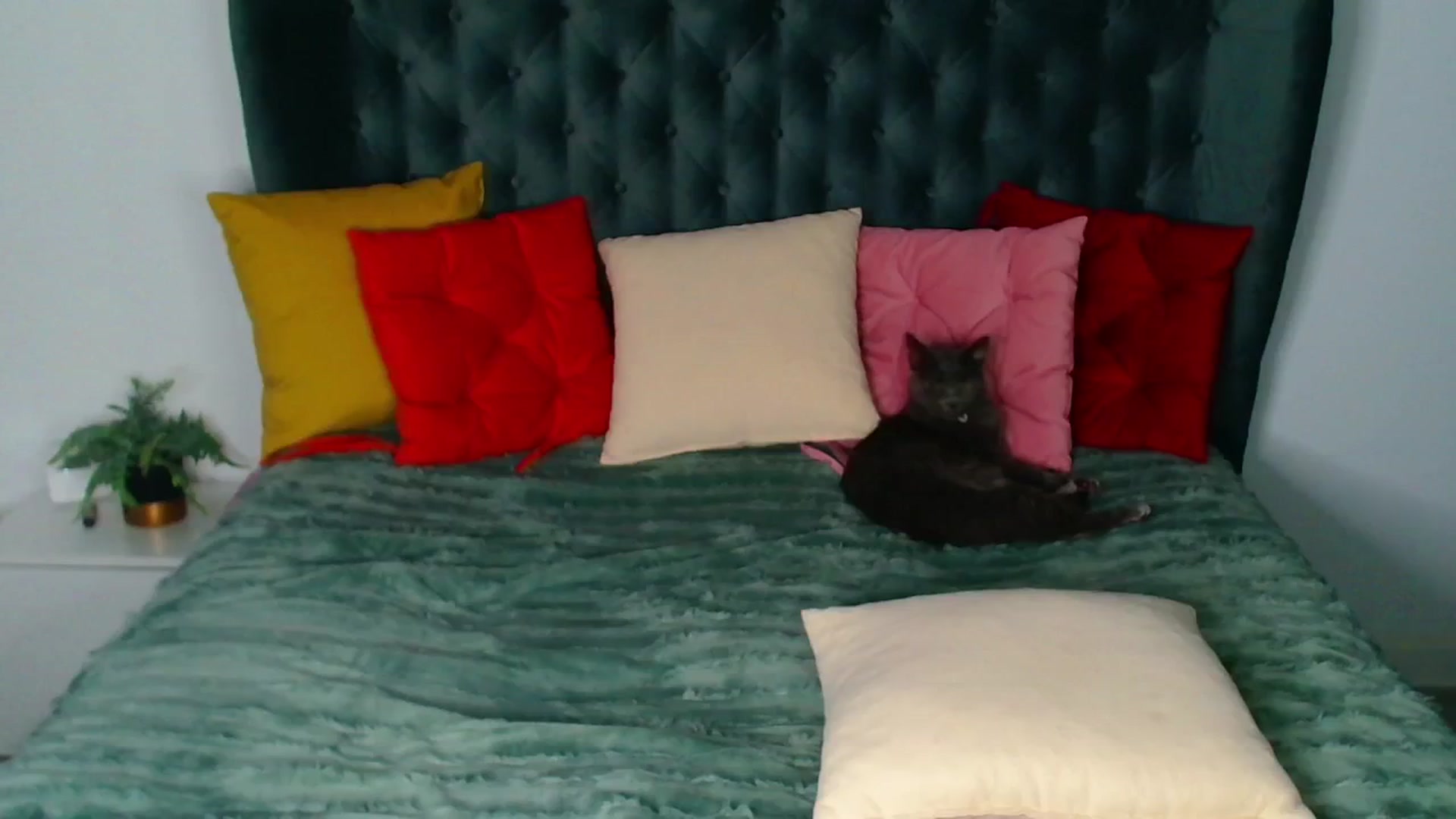 Gallery image thumbnail from Rose__Heart's myfreecams stream on, 11/16/2024, 21:47 image 20 of 20
