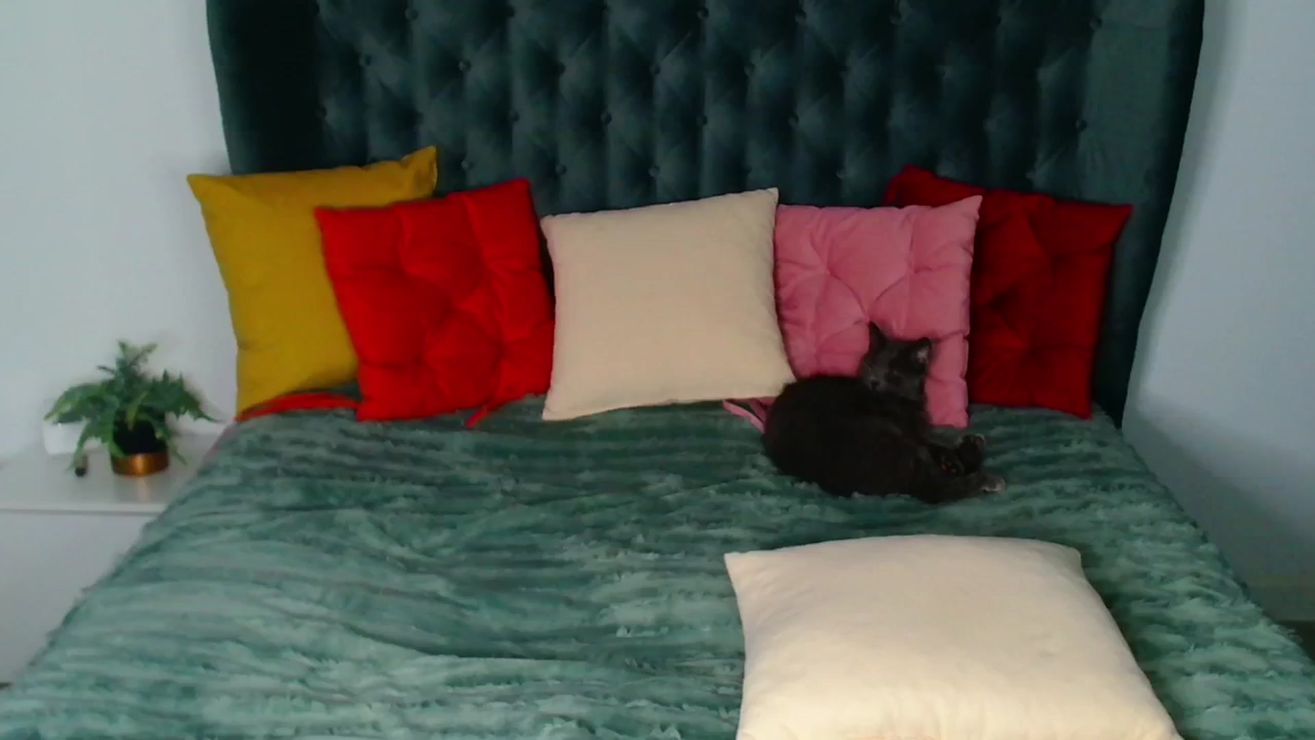 Gallery image thumbnail from Rose__Heart's myfreecams stream on, 11/16/2024, 21:47 image 16 of 20