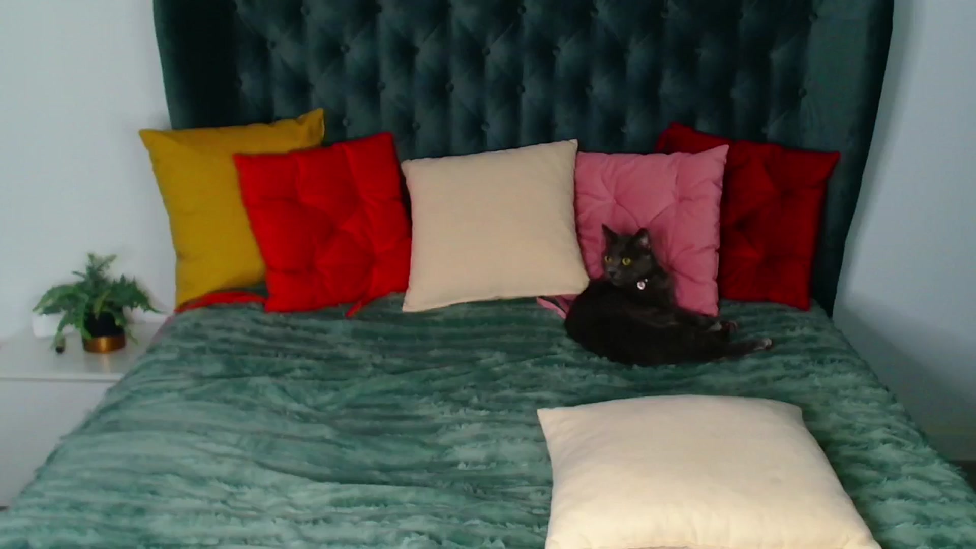 Gallery image thumbnail from Rose__Heart's myfreecams stream on, 11/16/2024, 21:47 image 19 of 20