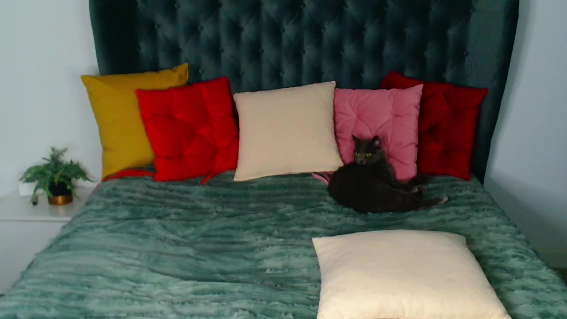 Gallery image thumbnail from Rose__Heart's myfreecams stream on, 11/16/2024, 21:47 image 18 of 20