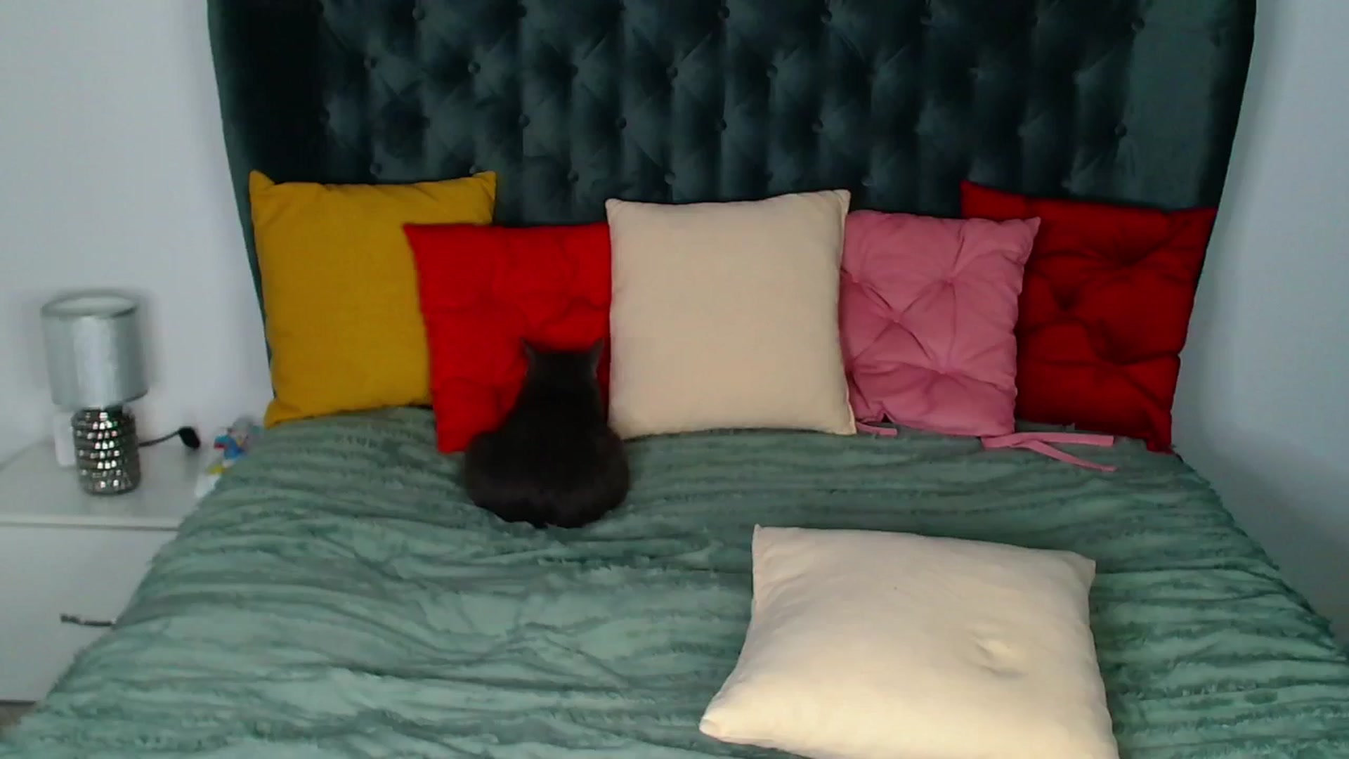 Gallery image thumbnail from Rose__Heart's myfreecams stream on, 12/17/2024, 23:25 image 5 of 20