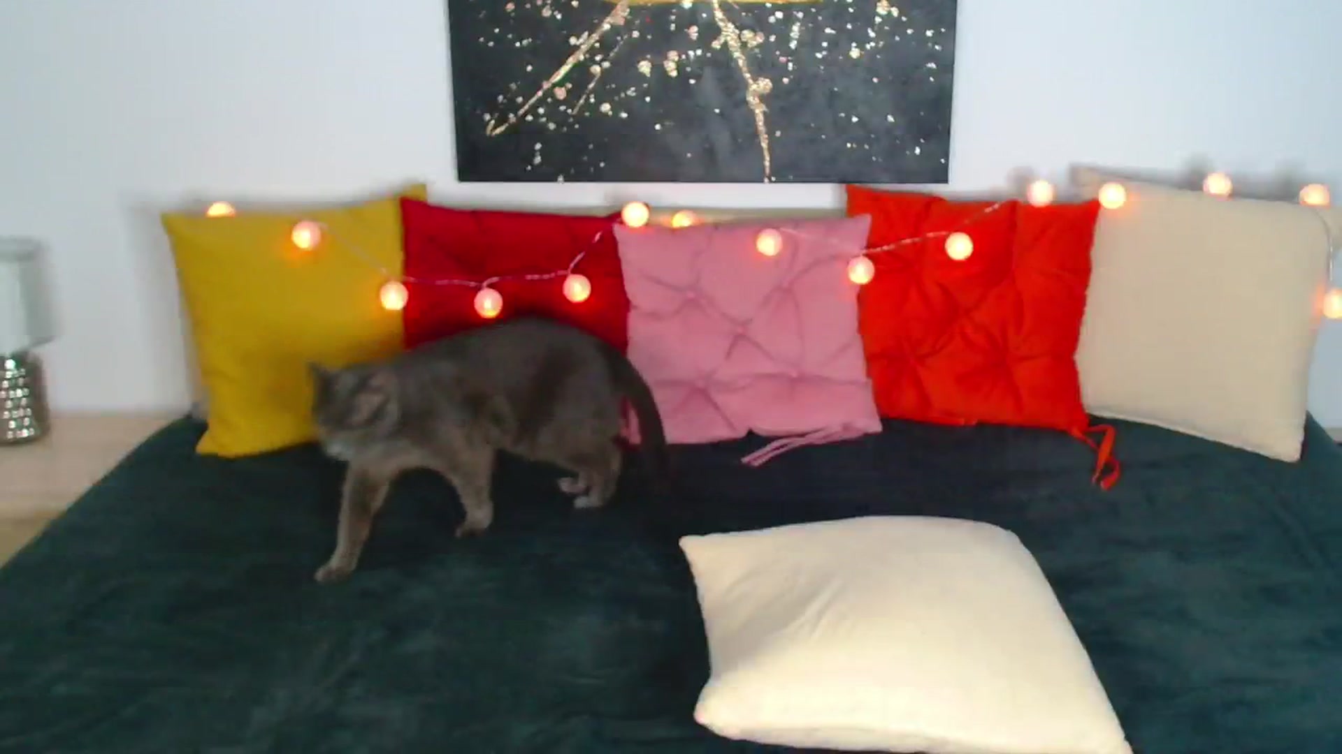 Gallery image thumbnail from Rose__Heart's myfreecams stream on, 05/21/2025, 21:55 image 10 of 20