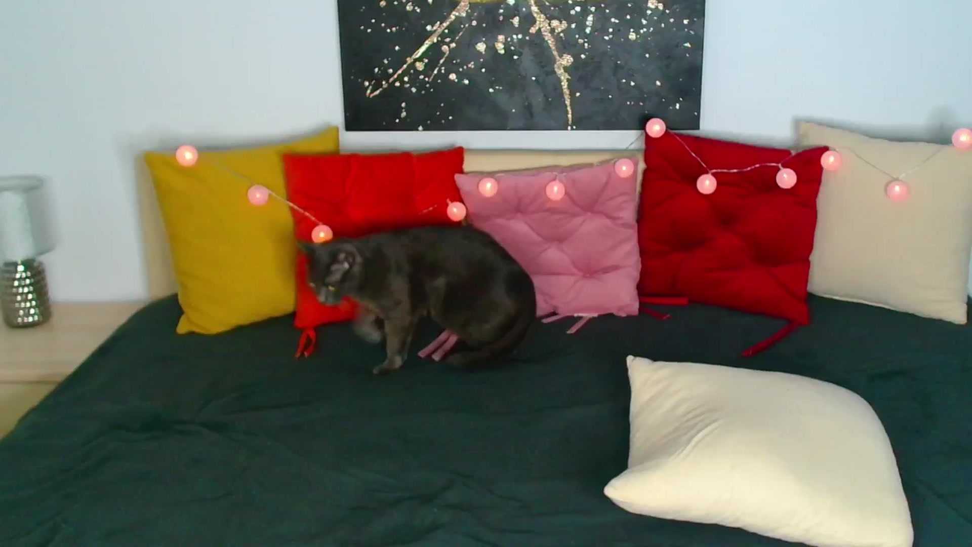 Gallery image thumbnail from Rose__Heart's myfreecams stream on, 05/28/2025, 23:27 image 5 of 20
