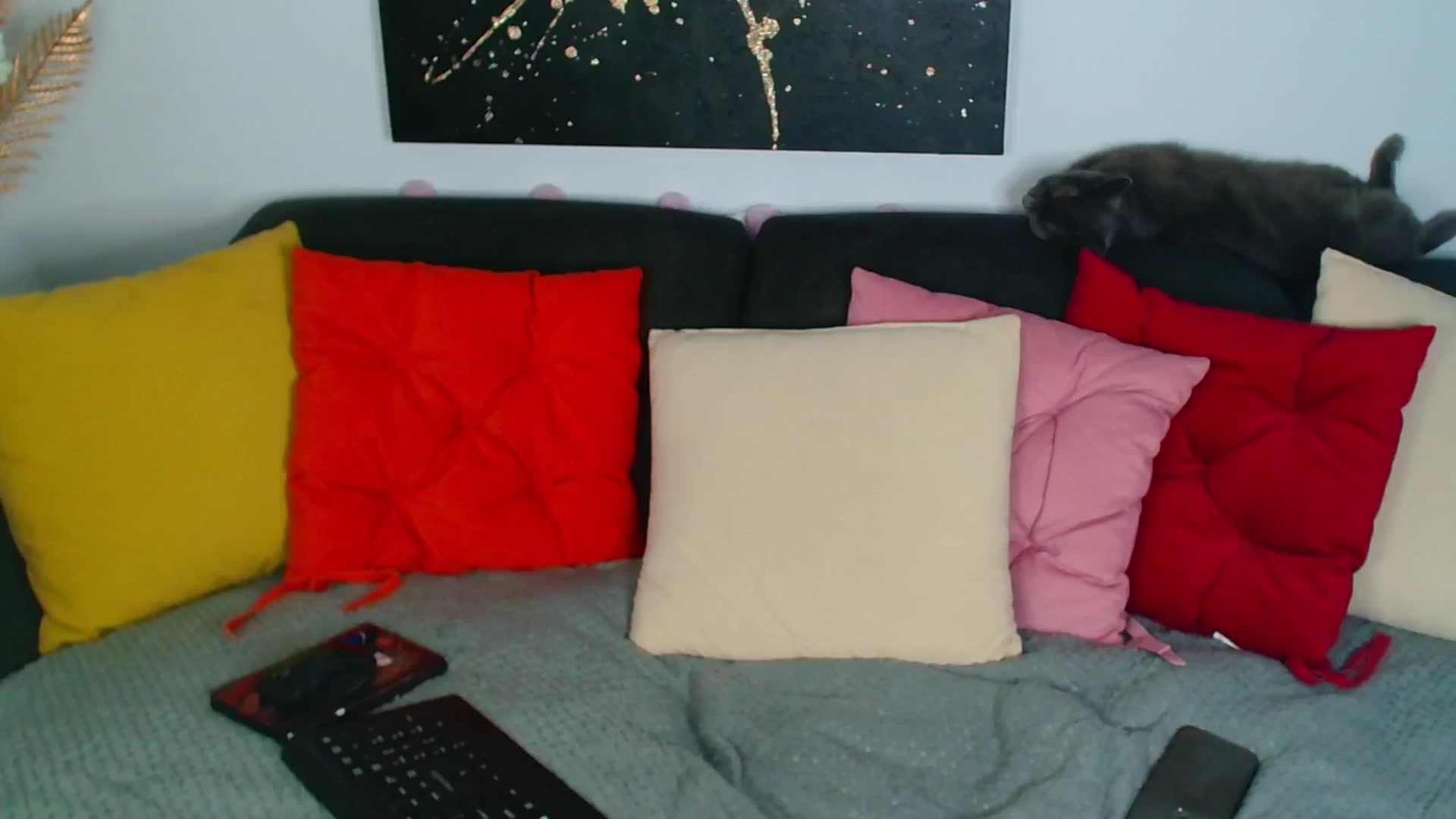 Gallery image thumbnail from Rose__Heart's myfreecams stream on, 07/09/2025, 21:49 image 19 of 20